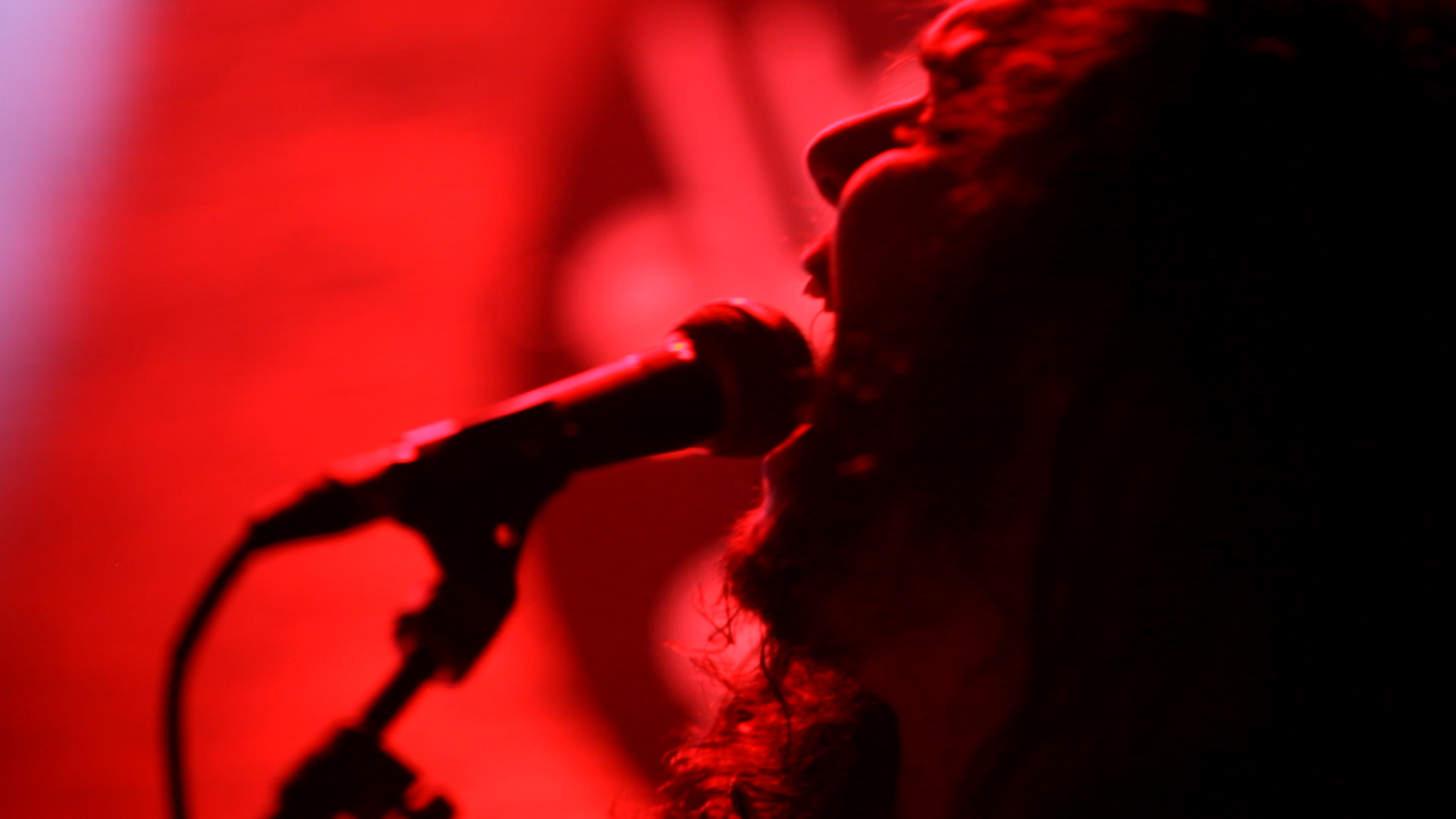 The Wild Is Calling Us: "Billy Bonbon Are Having More Fun Than You"