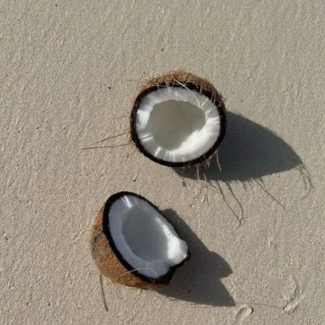 🥥 

&bull;
&bull;
&bull;
&bull;
&bull;
&bull;
&bull;
Image @pinterest
#summer #vacationclub #beach #accessories #comingsoon #luxe #bagcharms #sydney #australia #accessories #vacation #bagaccessories #travel #summerfun