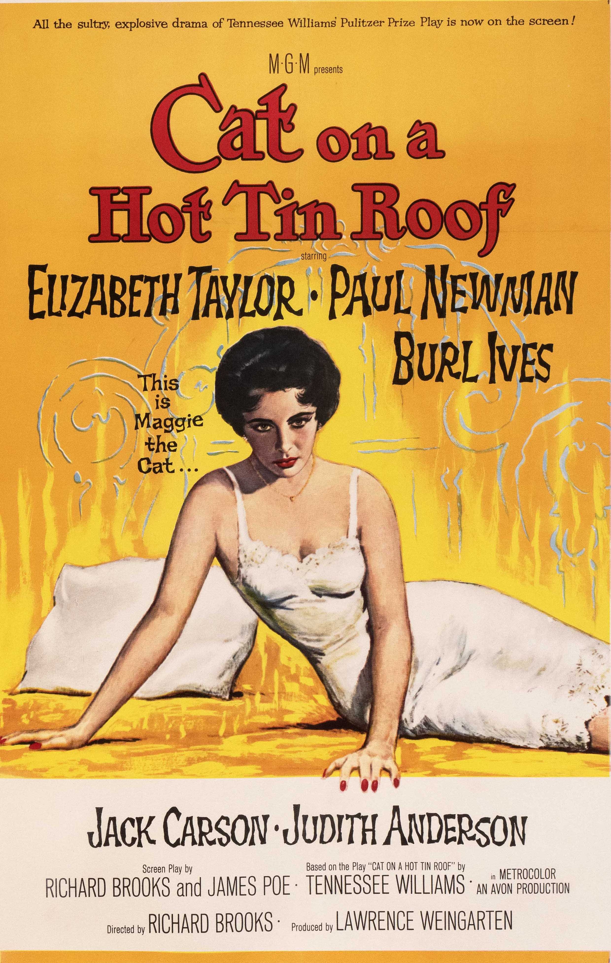 Cat-on-a-Hot-Tin-Roof-Vintage-Movie-Poster-Original_d52c9705.jpg
