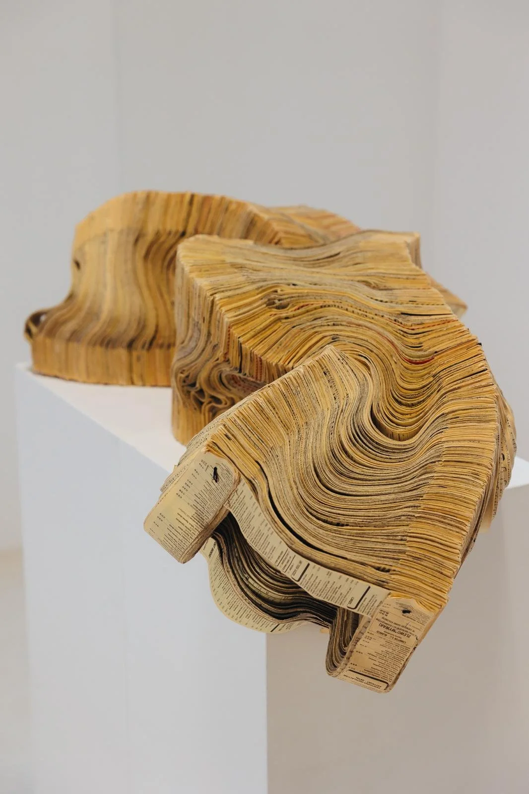 WhatsApp Image 2026-04-19 at 18.54.26 (5).jpeg