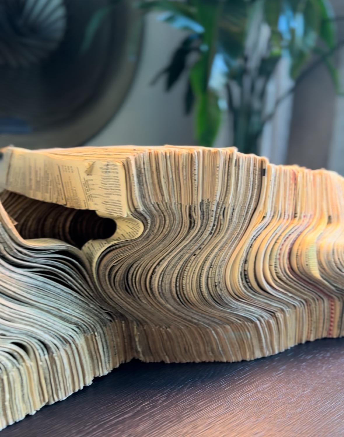 WhatsApp Image 2025-12-27 at 00.30.00.jpeg