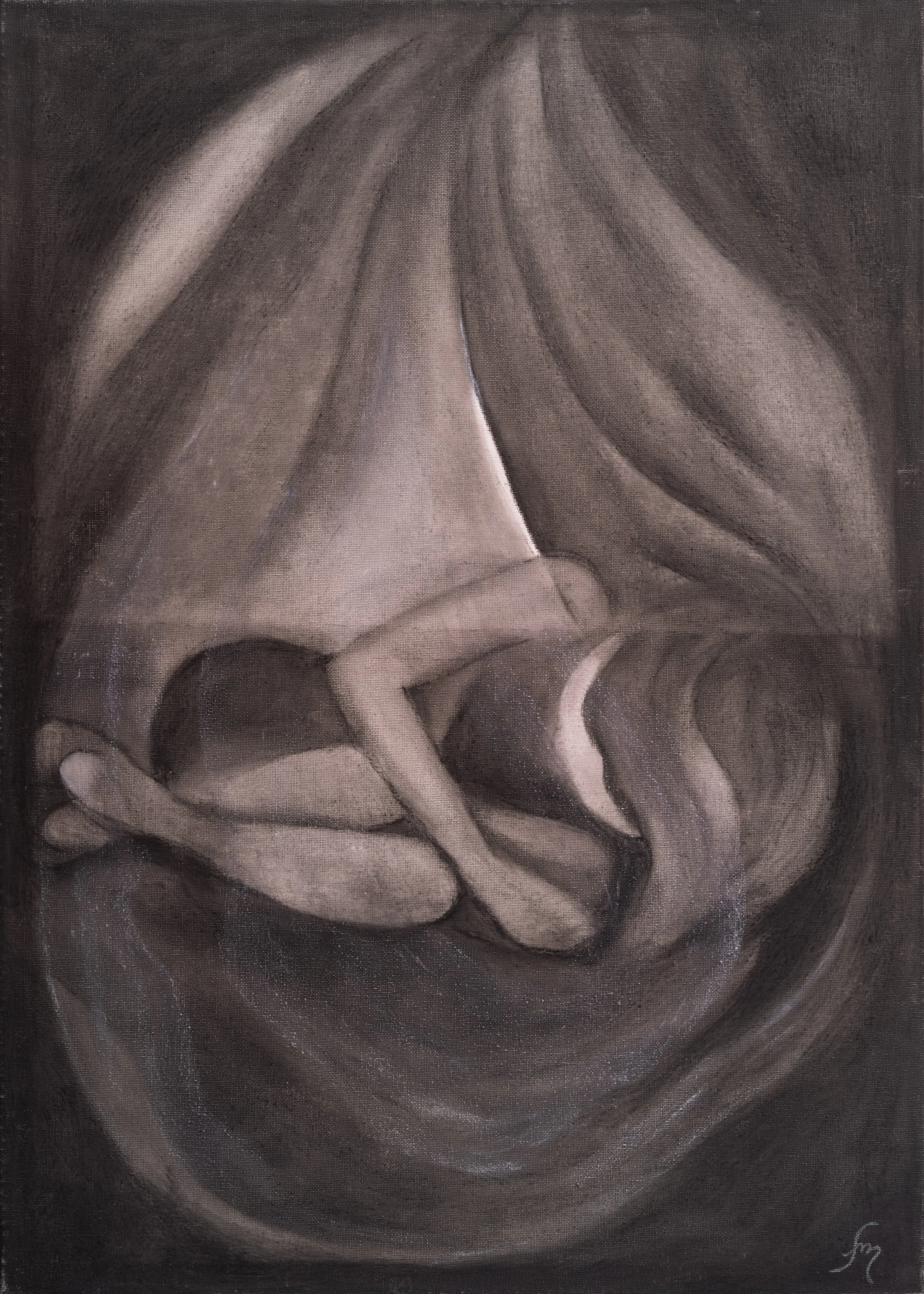 La Gestazione