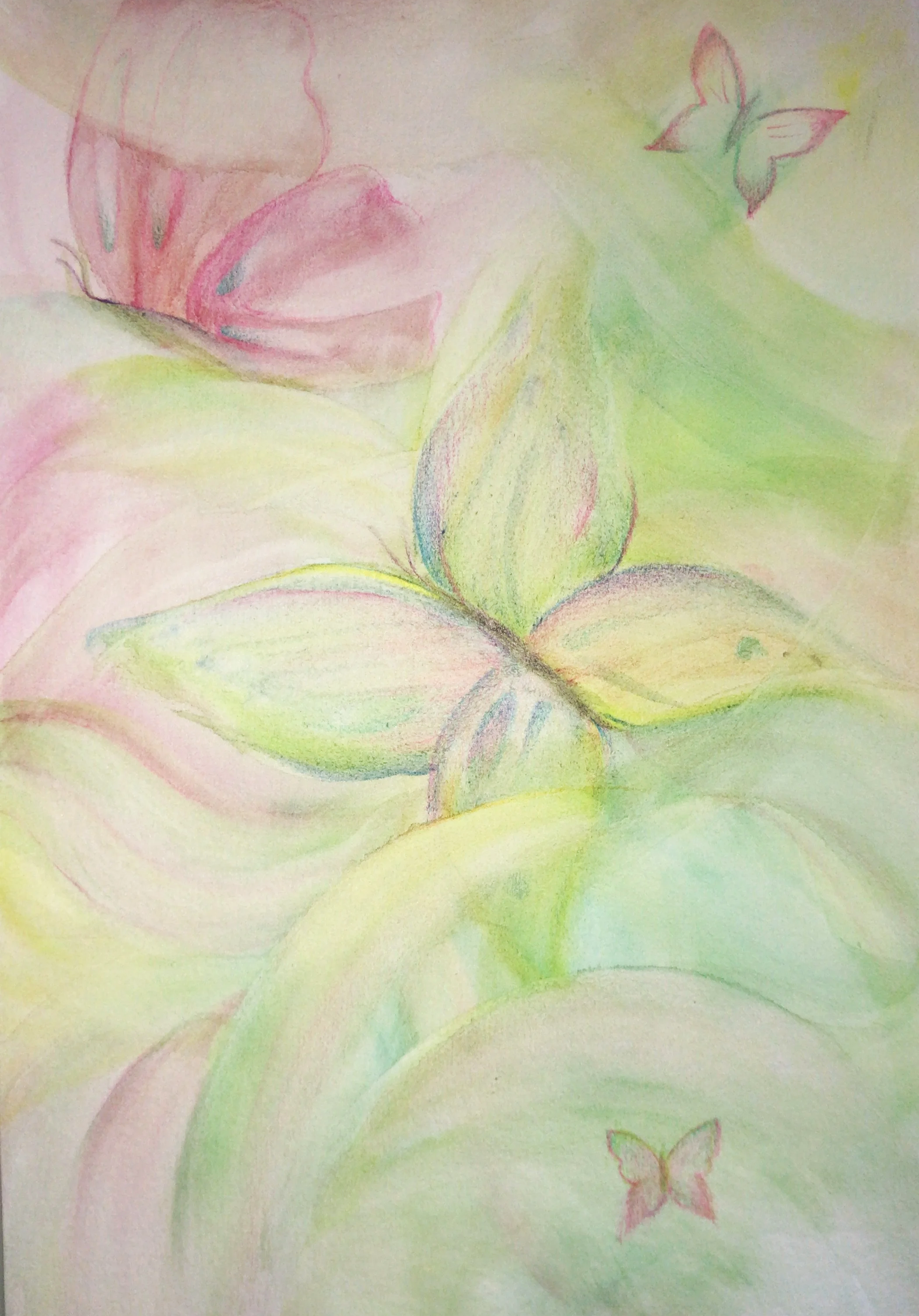 F5D888E0-A464-4F7C-B384-614E68D91B19.png