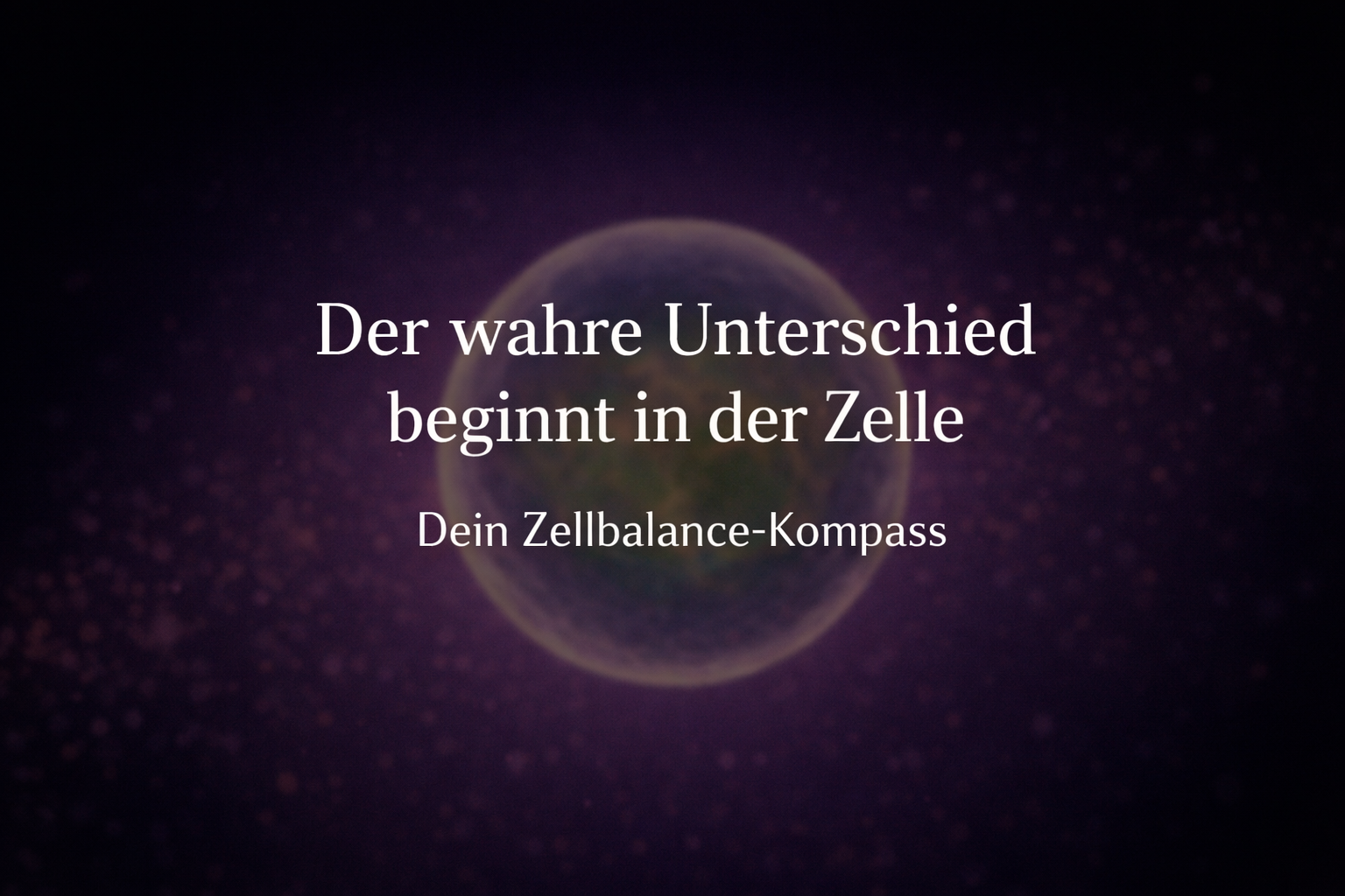 ChatGPT Image 14. Feb. 2026, 23_25_41.png