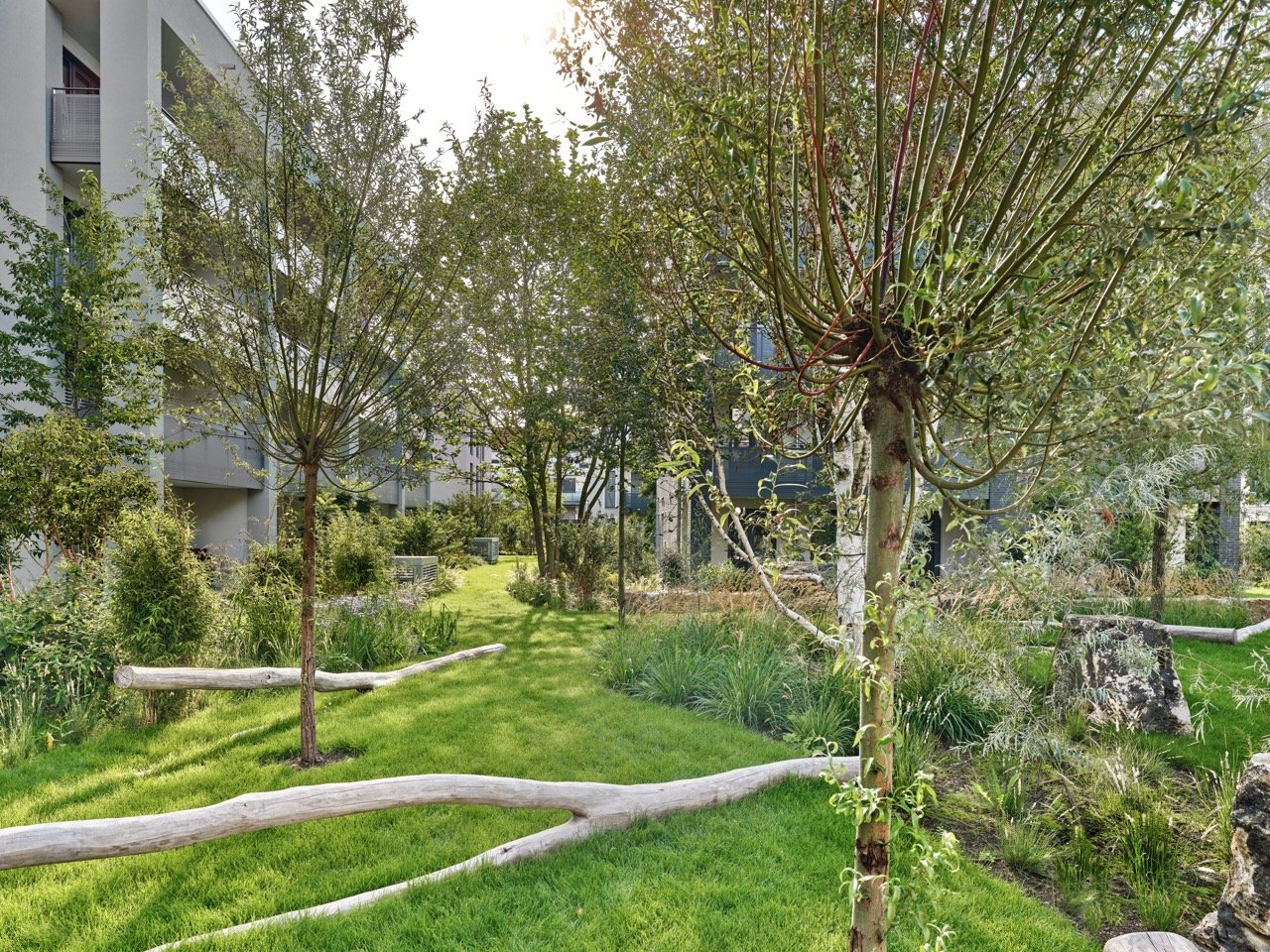 Groß (WOHNQUARTIER-BRÜHL_DSF1966).jpeg