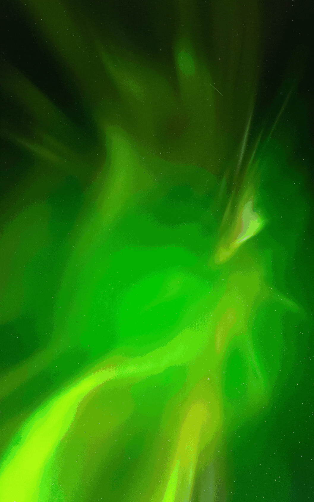 Green Fantasy Novel Book Cover.gif