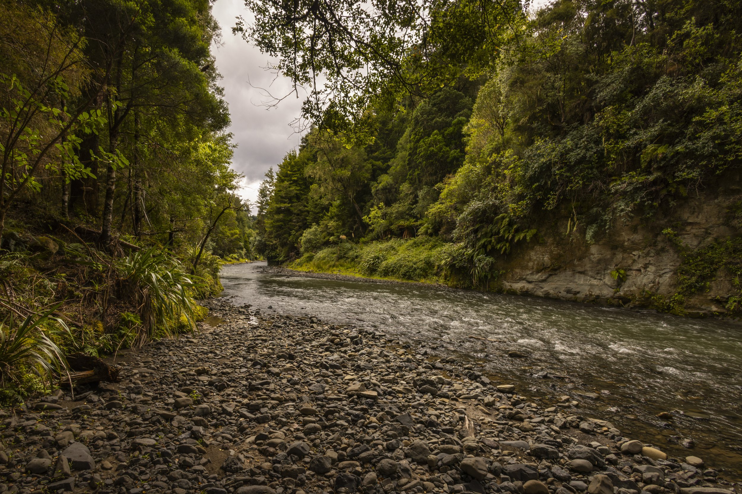 Beautiful small river in narrow canyon.jpg