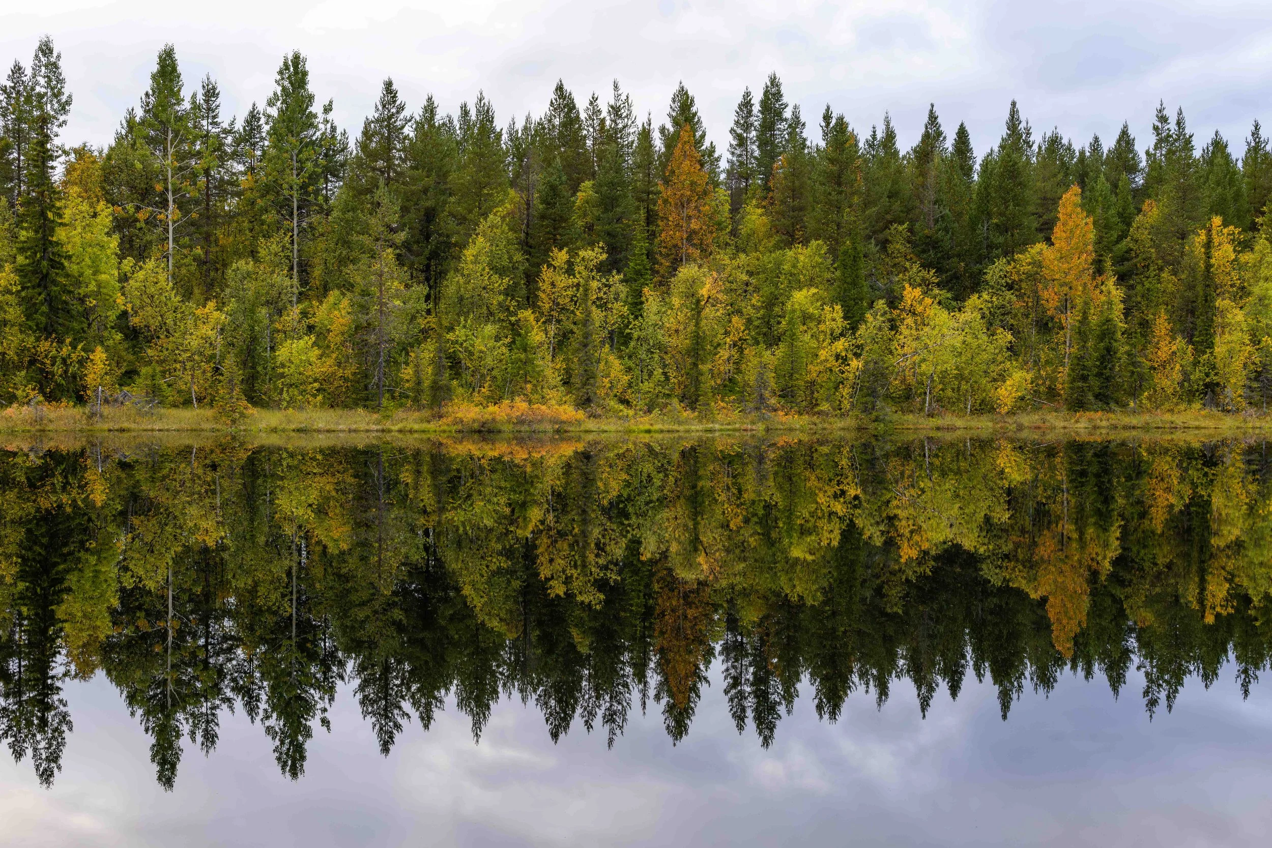Start of fall.