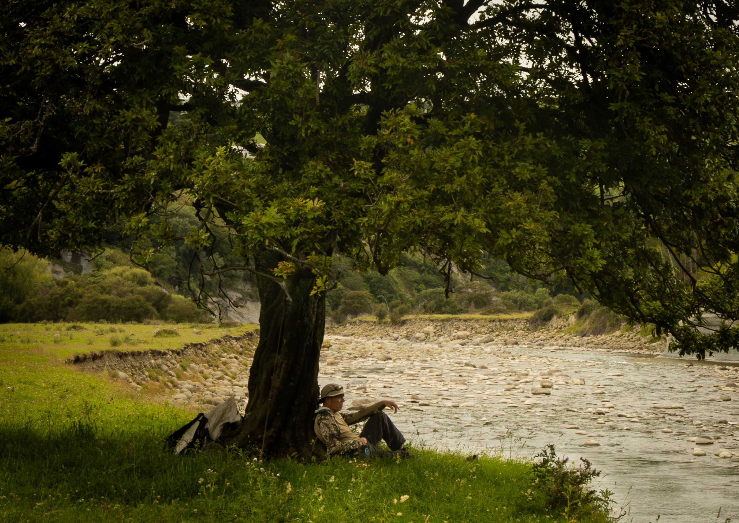 Raymond søker skygge.jpg