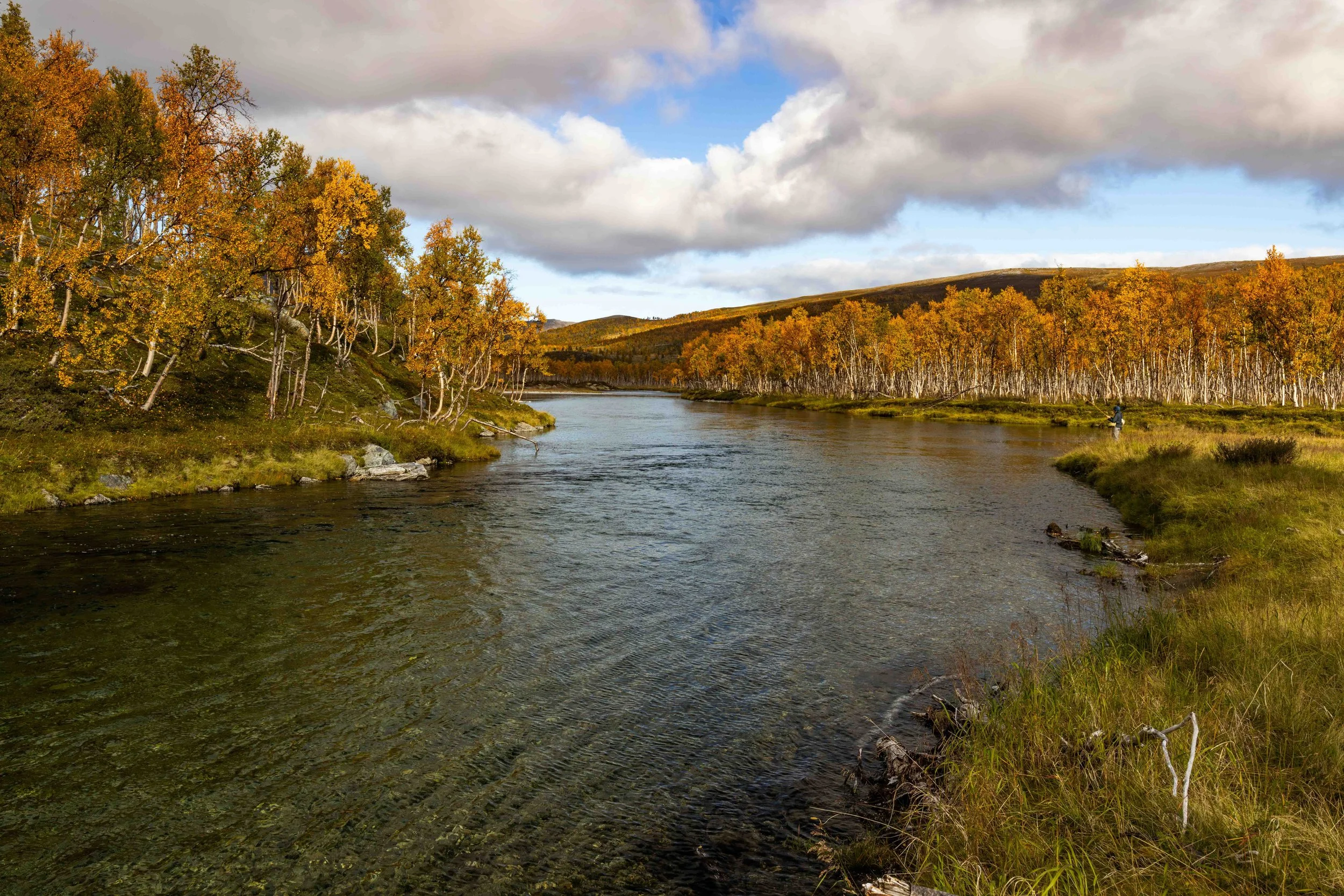Great stretch of river, no fish though.