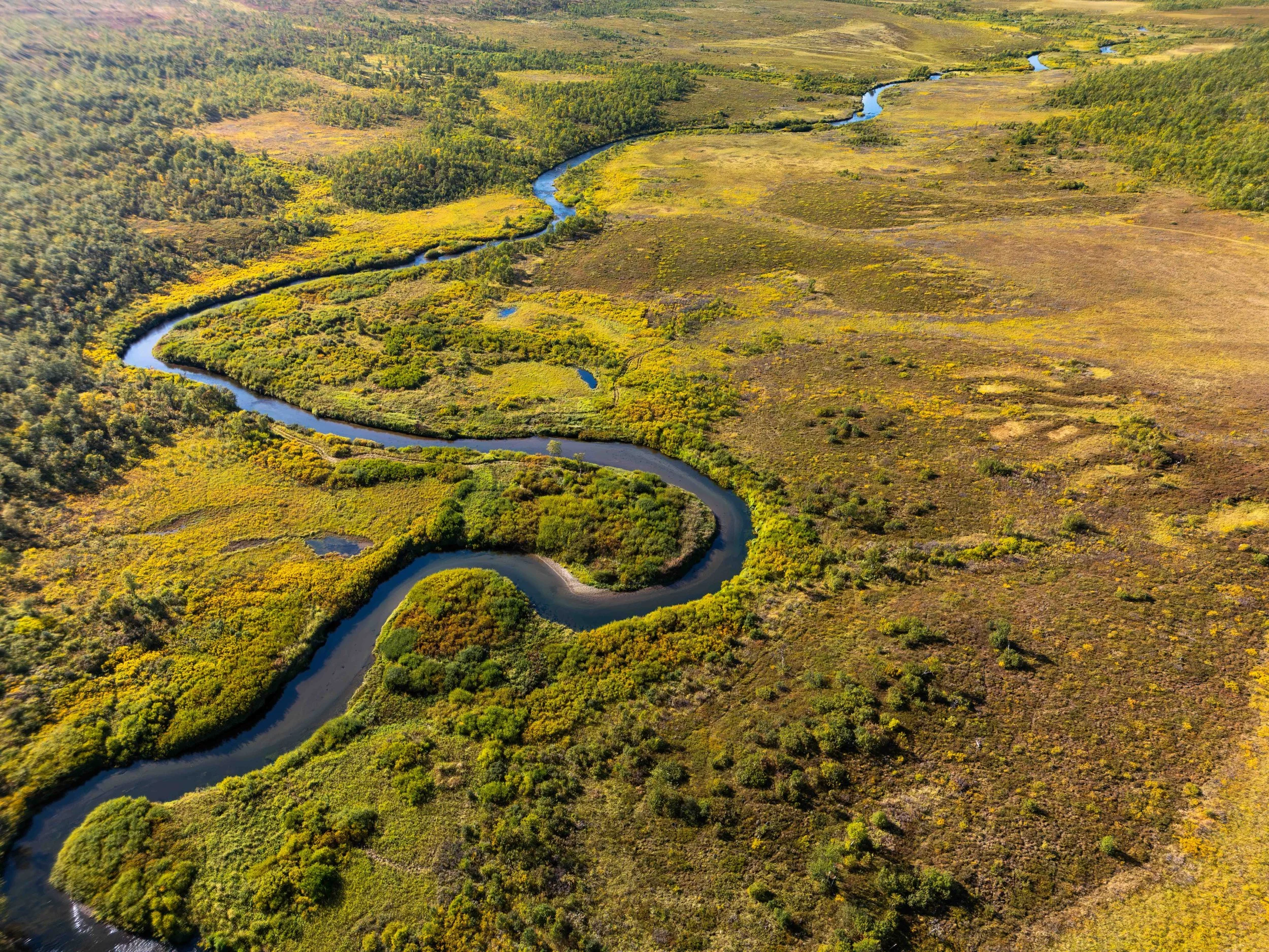 Bush country, insanely difficult to fish...