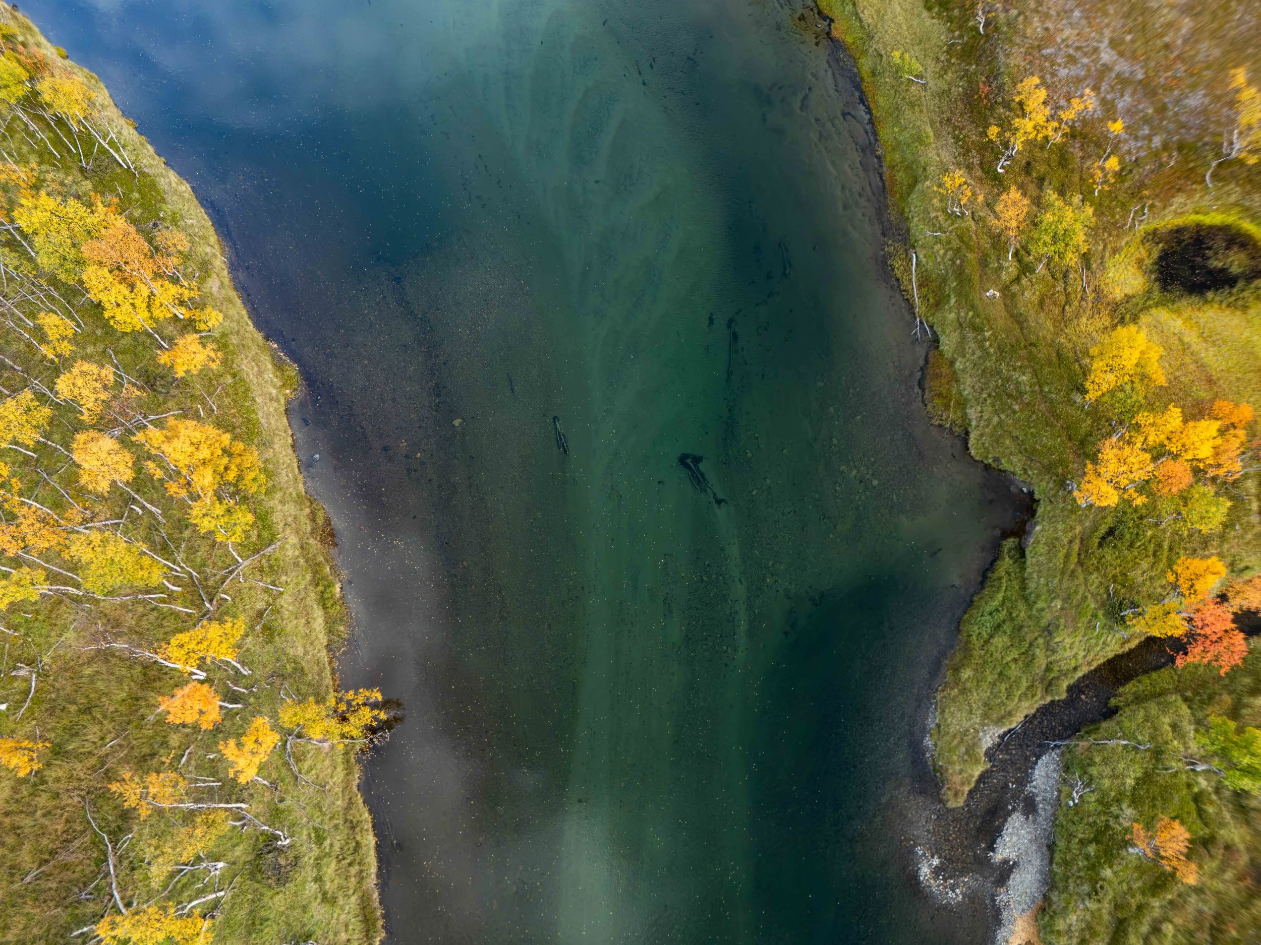 Clear river and fall colours.
