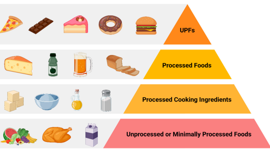 Scientists criticise food manufacturers for massive profits from sales of unhealthy ultraprocessed food