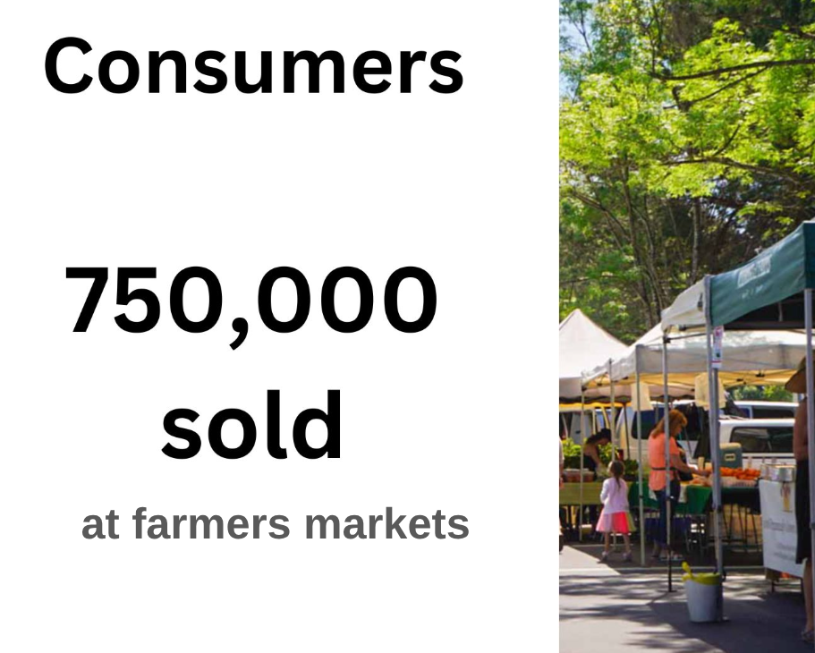 Screenshot 2025-11-03 07.37.33.png