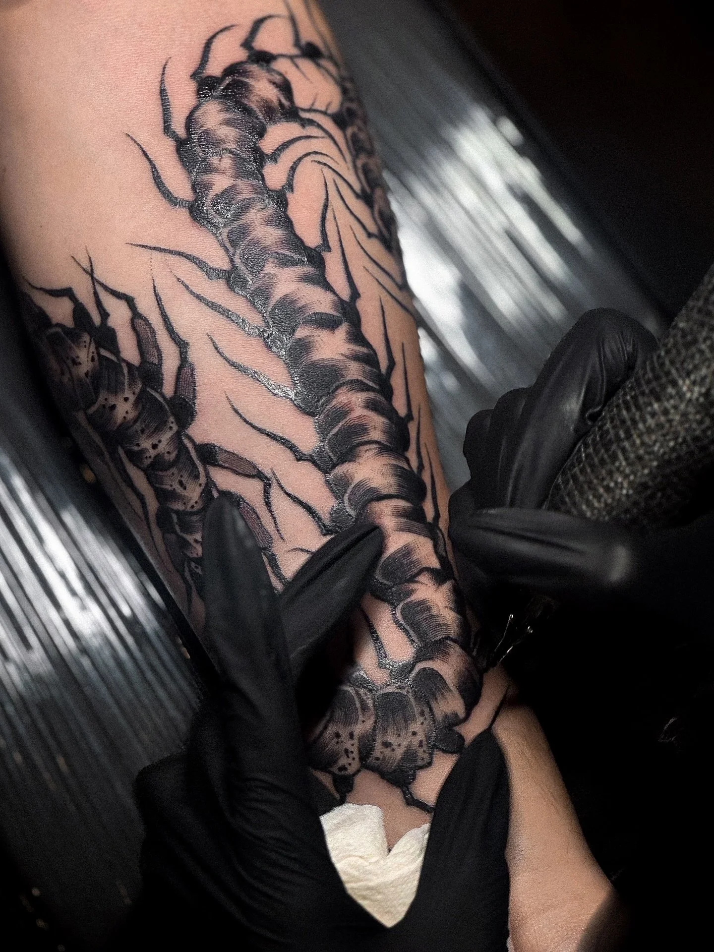 Our wonderful @sashanicoletattoo completed this piece for her client recently!

It&rsquo;s great having Sasha back in the studio doing what she does best.

Sasha&rsquo;s books are open, she&rsquo;s taking bookings for Thursdays-Sundays.
Contact @sash