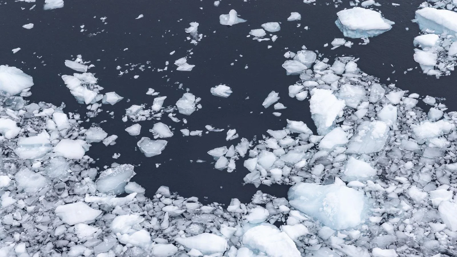 WhatsApp Image 2025-11-05 at 10.05.15 (9).jpeg