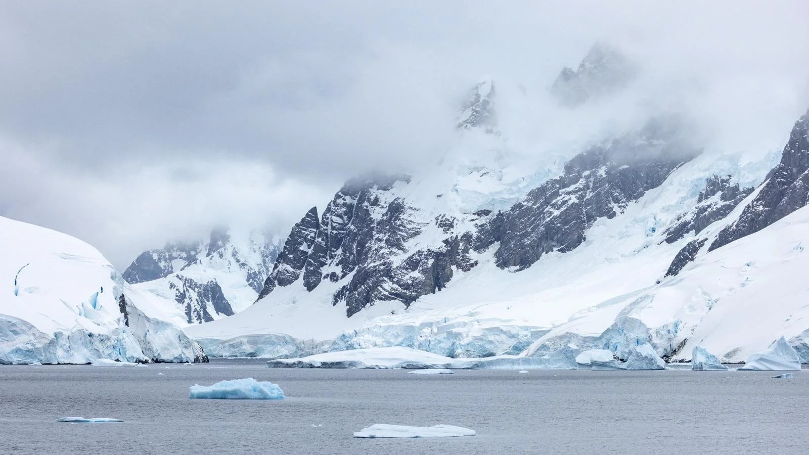 WhatsApp Image 2025-11-05 at 10.05.16 (1).jpeg