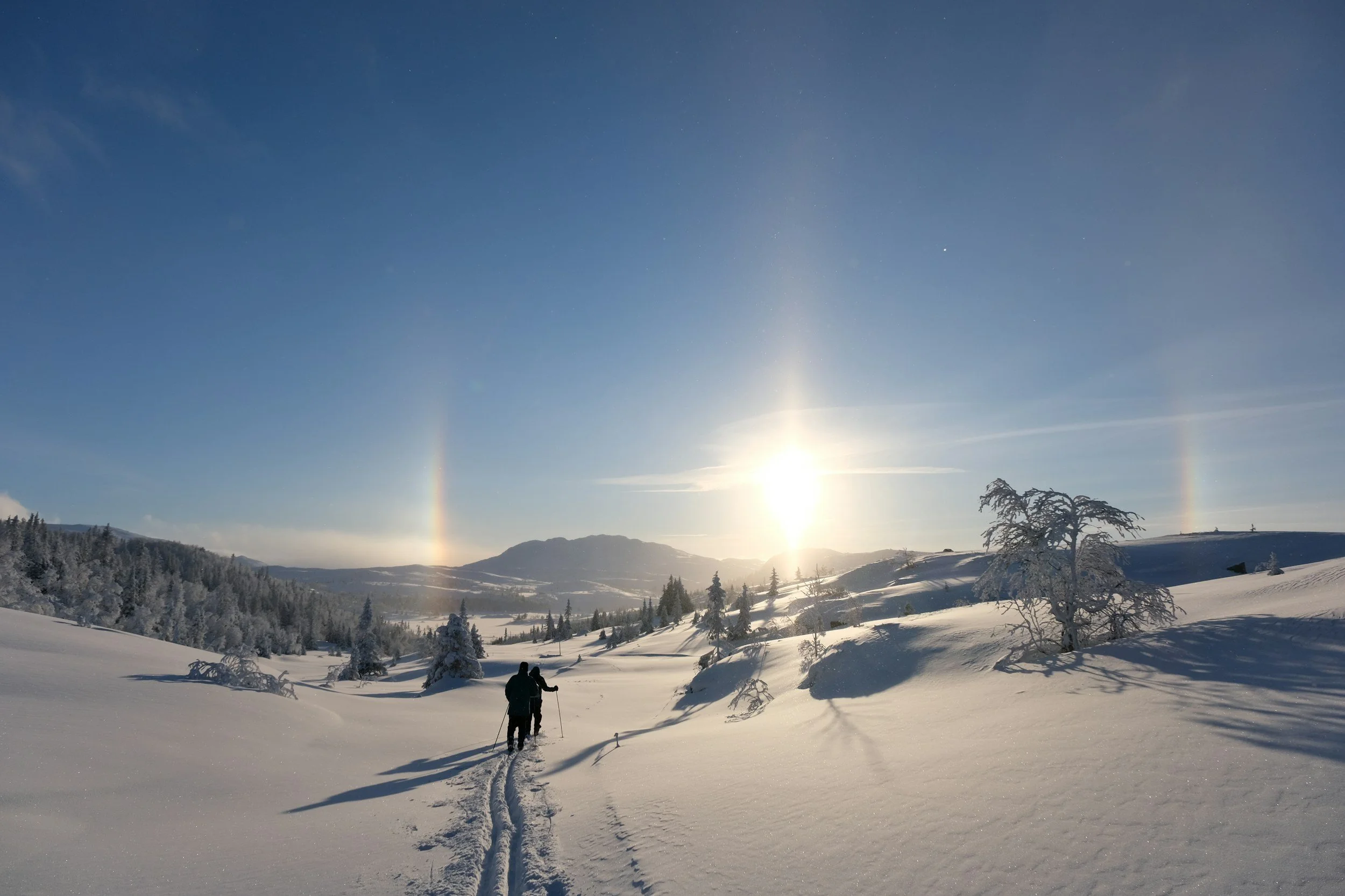 Person cross country skiing across a snowy Norwegian mountain landscape in bright winter sunlight showing popular winter activities in Norway and how cross country skiing is a favourite Norwegian tradition