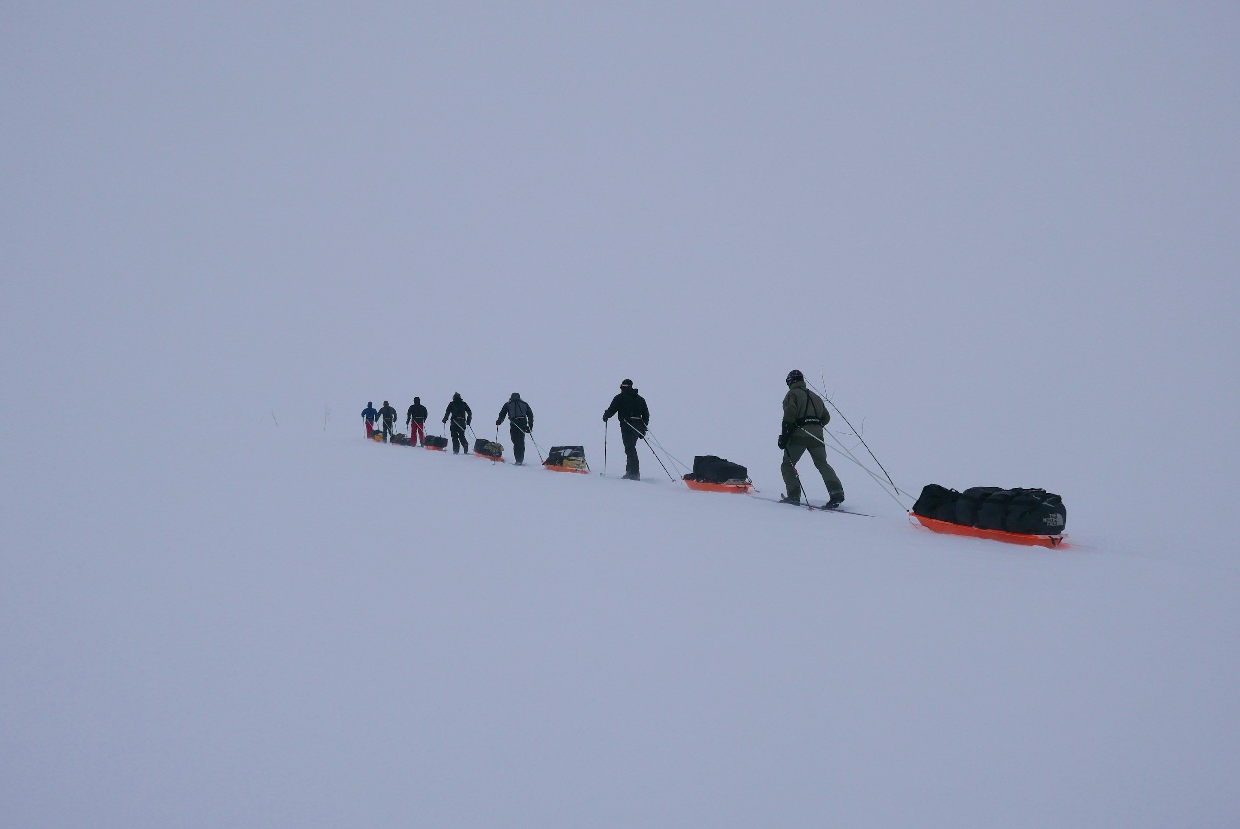 Ski expedition with pulks in high mountain terrain typical of Finse in winter, showing remote and treeless snow-covered landscape.