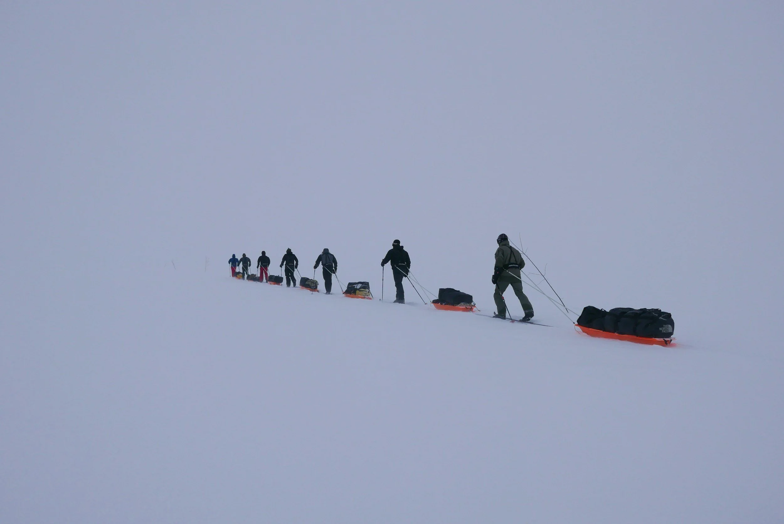 Ski expedition with pulks in high mountain terrain typical of Finse in winter, showing remote and treeless snow-covered landscape.