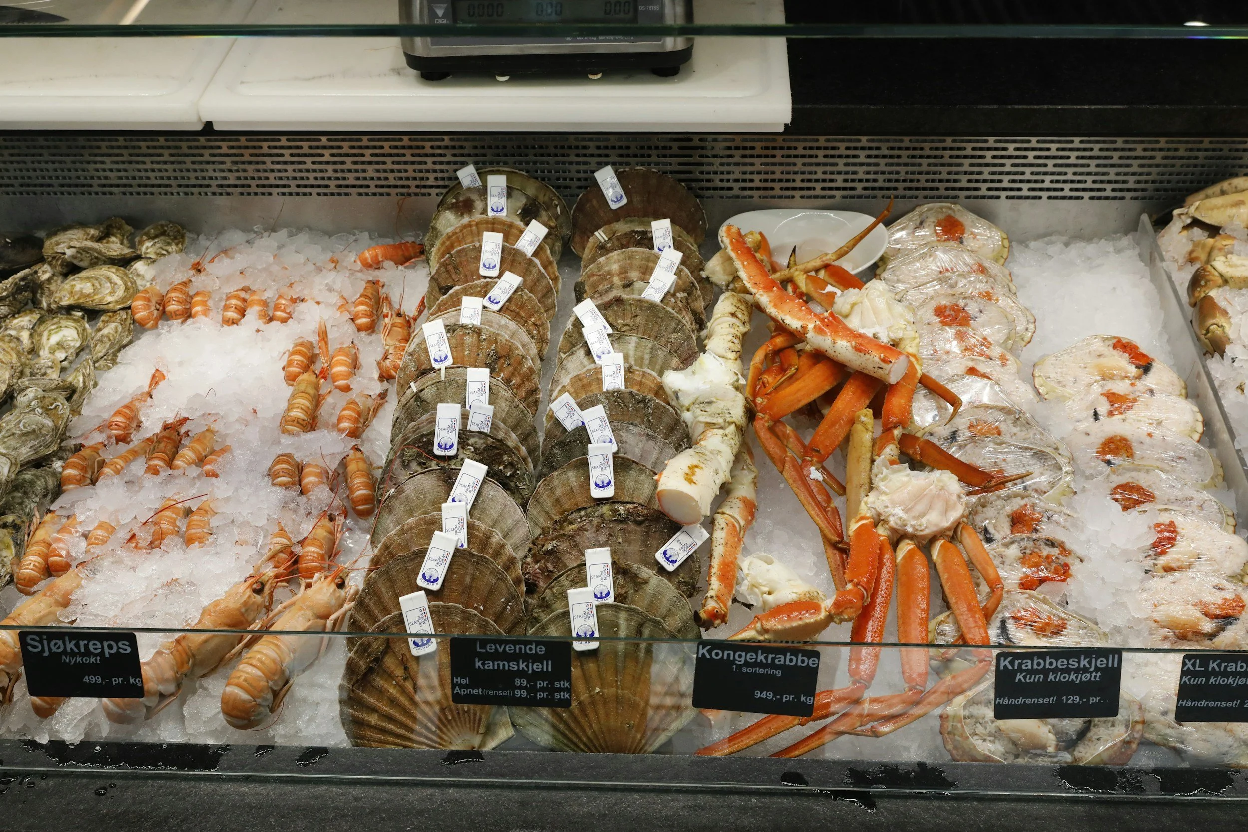 Norwegian fish market seafood display with king crab, scallops and shellfish on ice