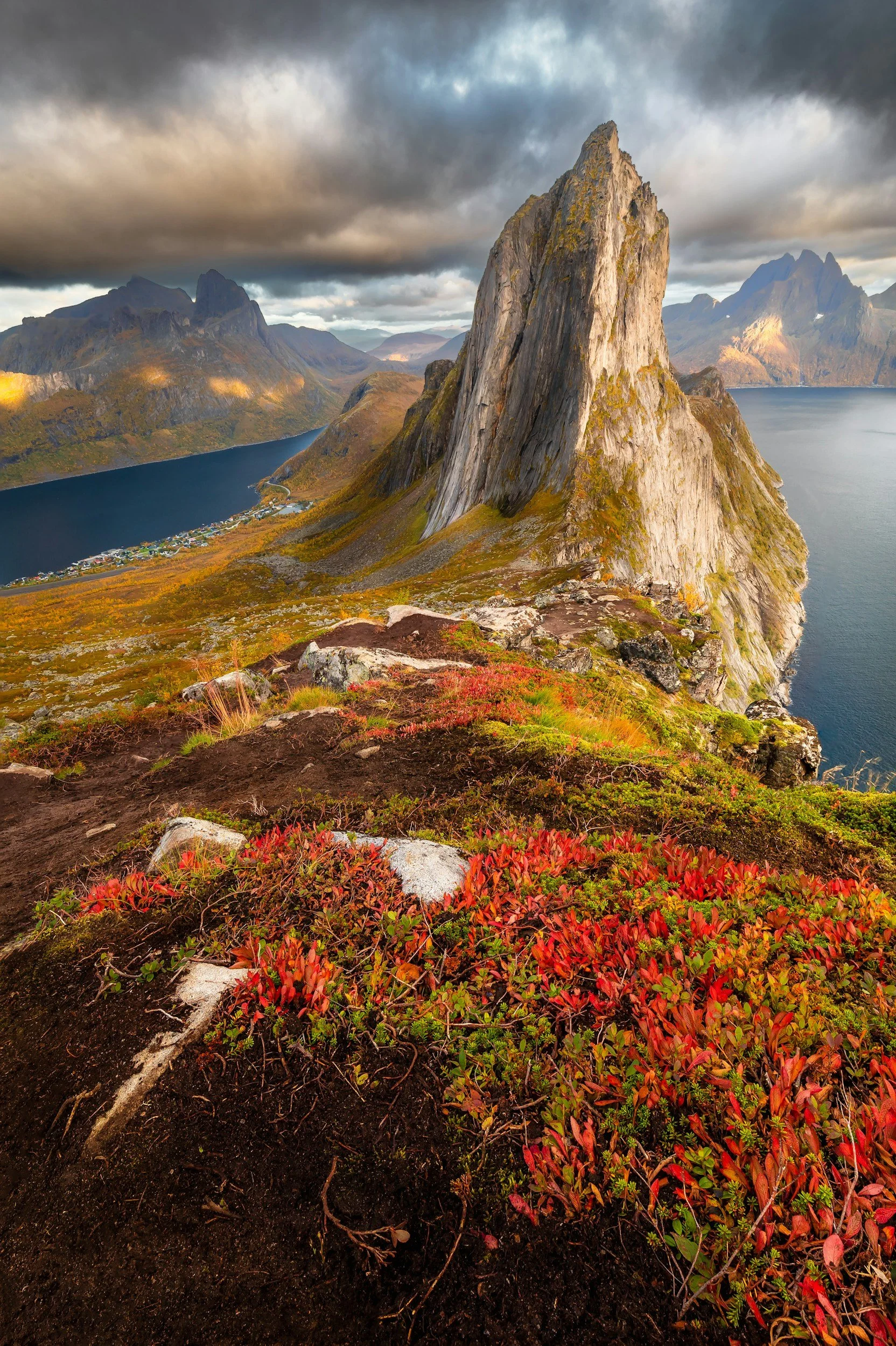 A picture from a viewpoint in Senja, Norway.