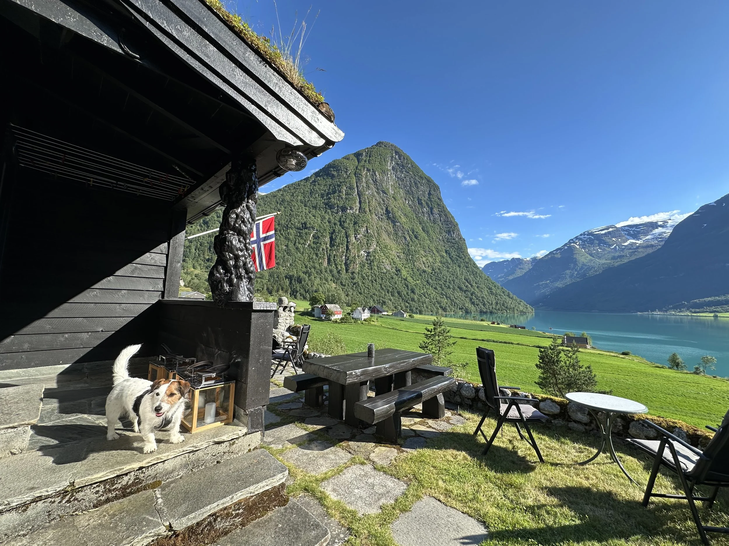 a dog standing at the stairs of a cabin in Norway. In the background you see tall mountains and water.
