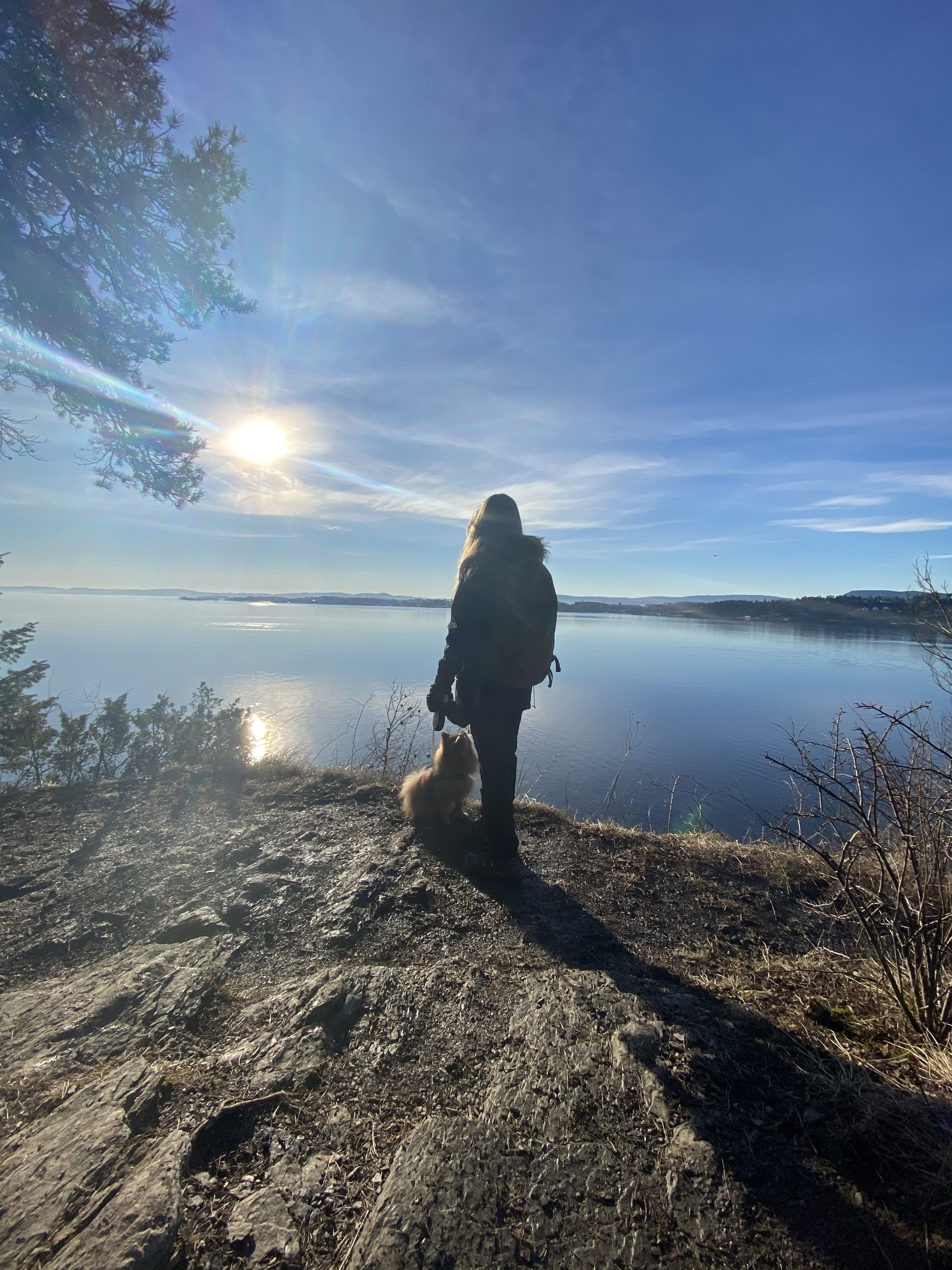 A picture of a woman and a dog standing in front of the Oslo fjord in Bygdøy, Norway. The sun is shining over the water and the skies are bright and blue.