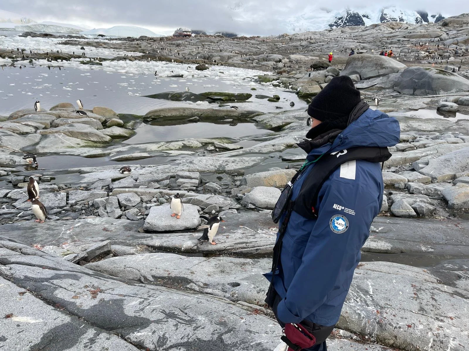 Woman standing among penguins in Antarctica as several birds approach curiously on snowy ground.