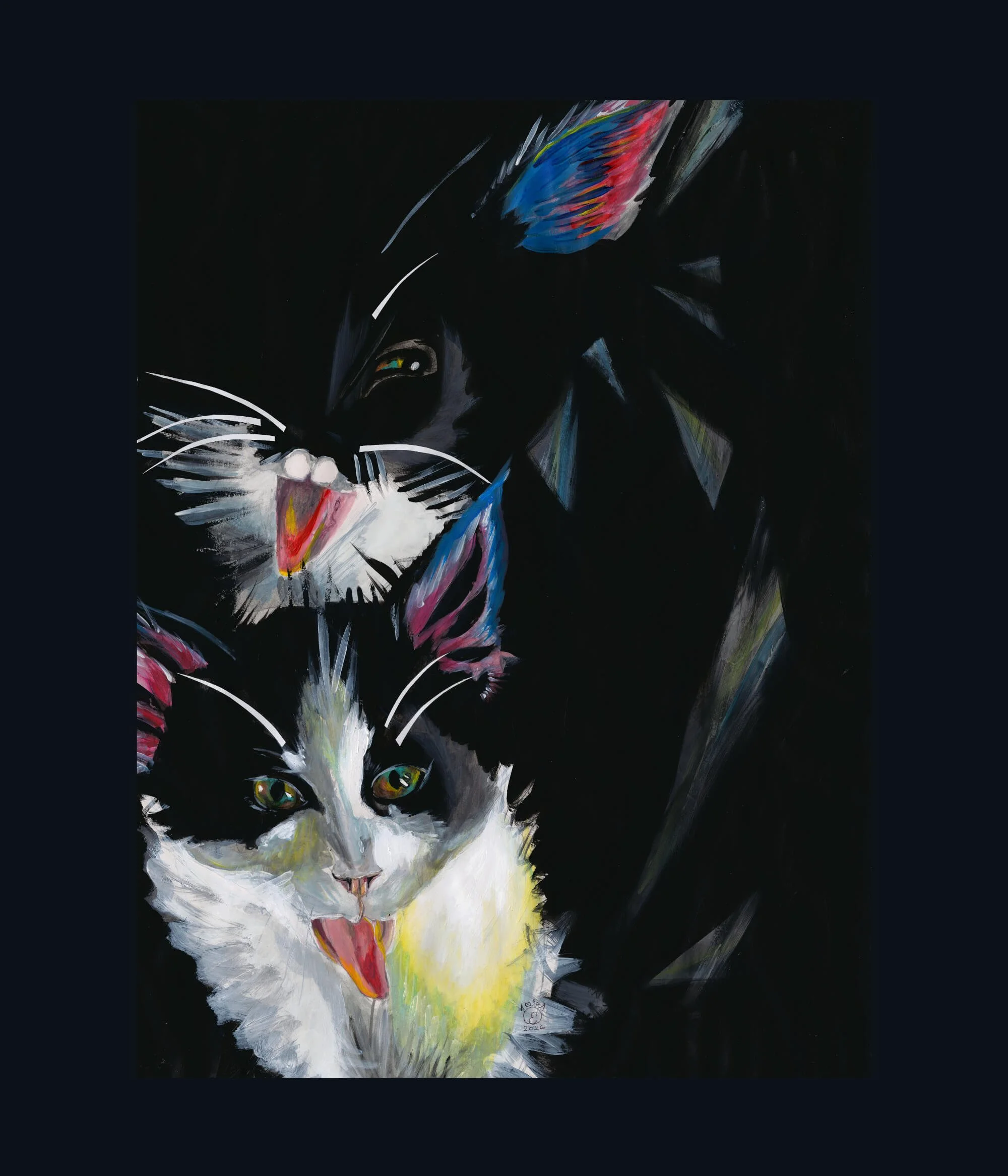 tuxedo cats sml no polaroid (1).jpg