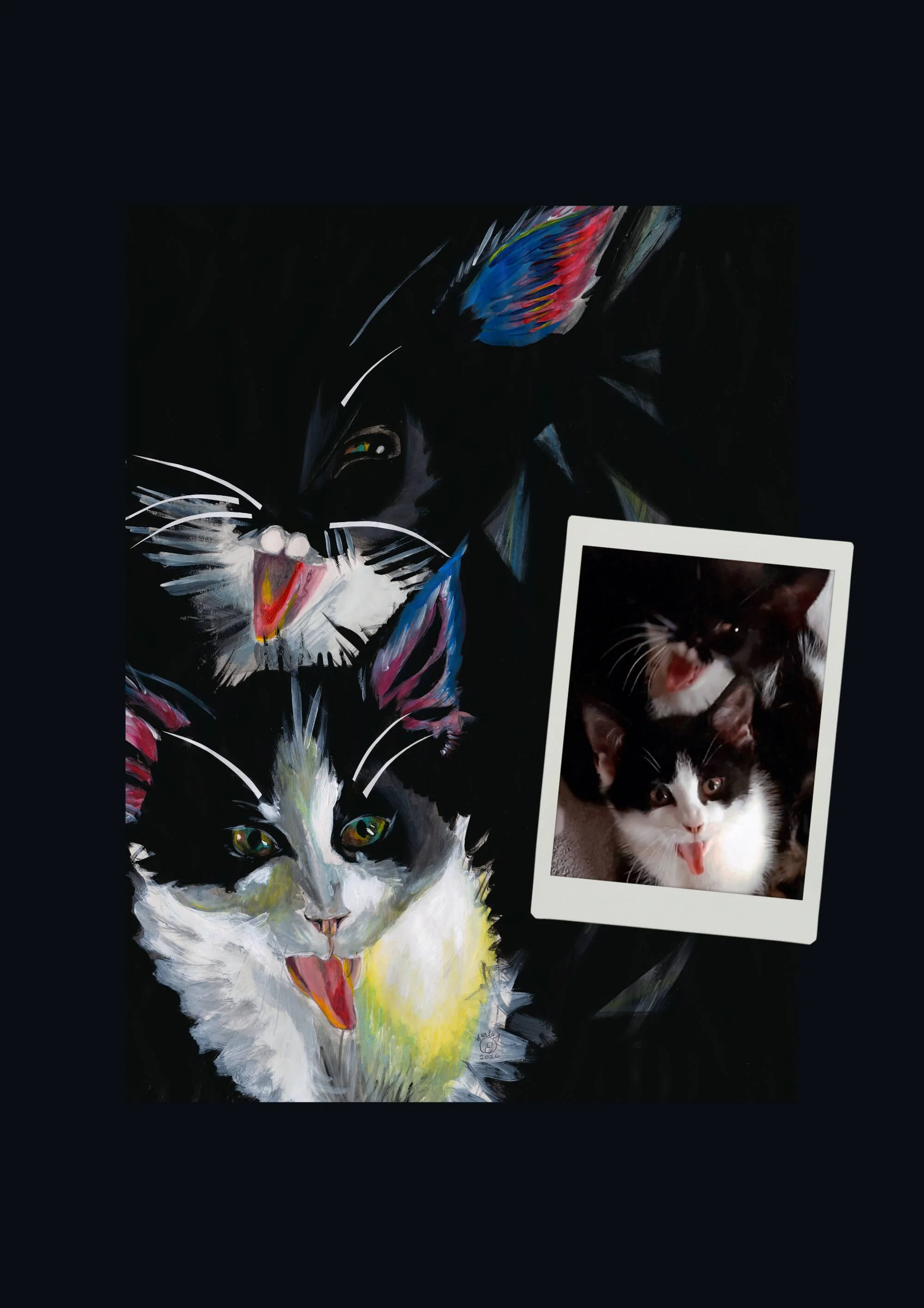 tuxedo cats sml (1).jpg