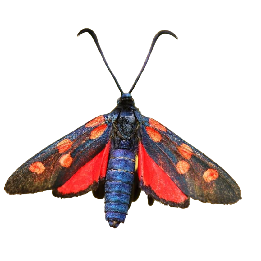 archives-togather-together-towards-future-elio-galen