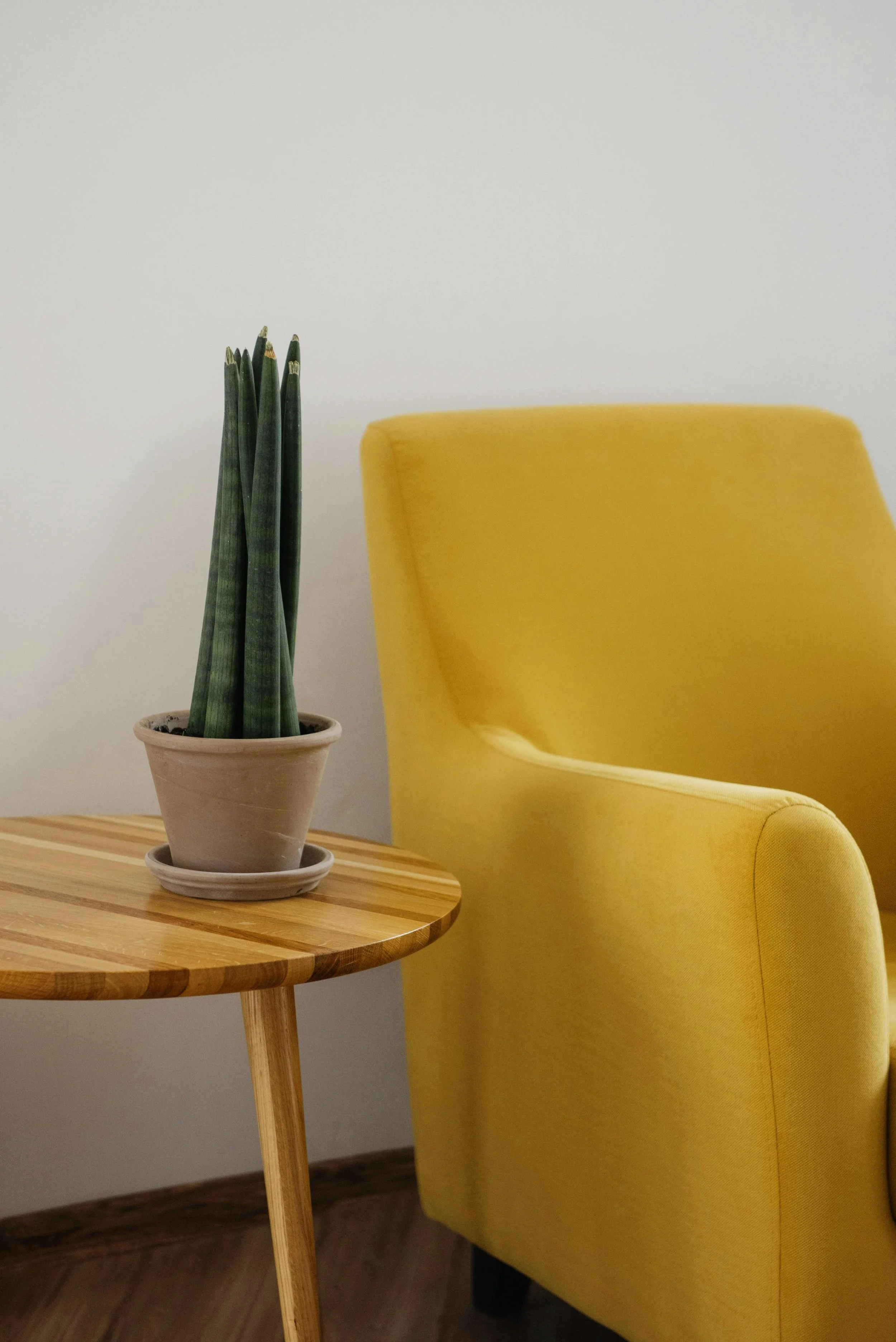 A succulent in a terracotta pot sits on a wooden side table next to a yellow seat