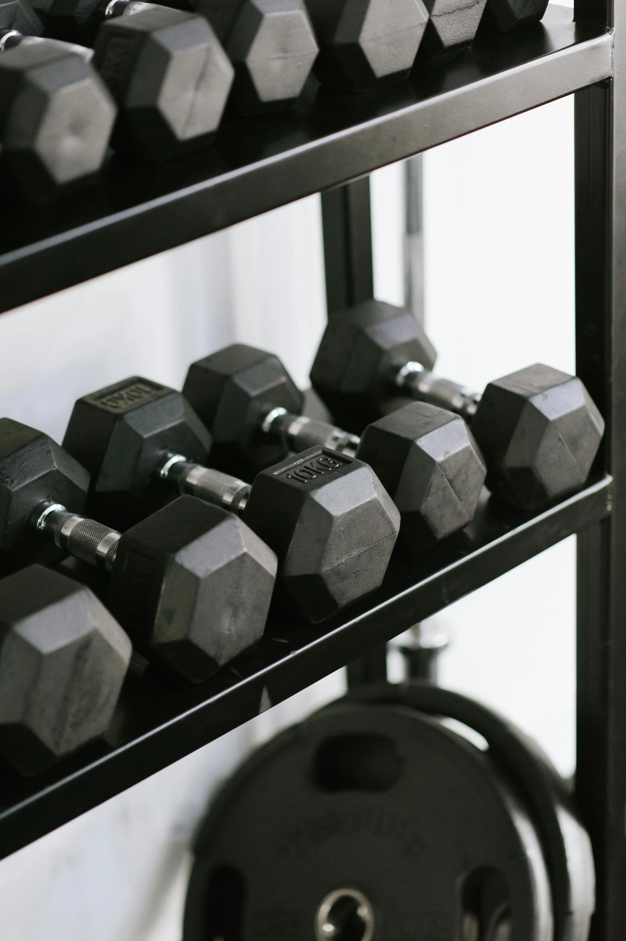 Black and metal hand weights sit on a metal shelf in a physical therapy studio