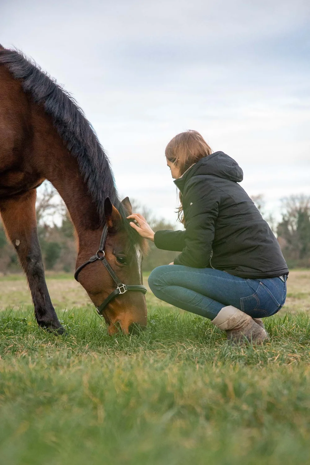 Shooting chevaux Allex Drôme photographe naturel