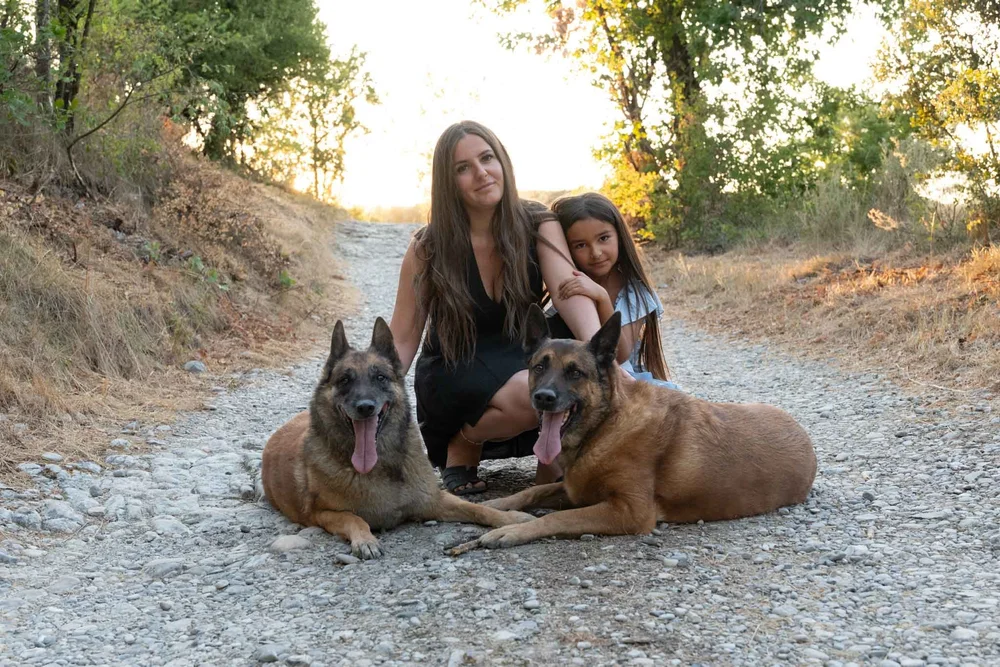 Chien fêtant son anniversaire, séance photo en Drôme