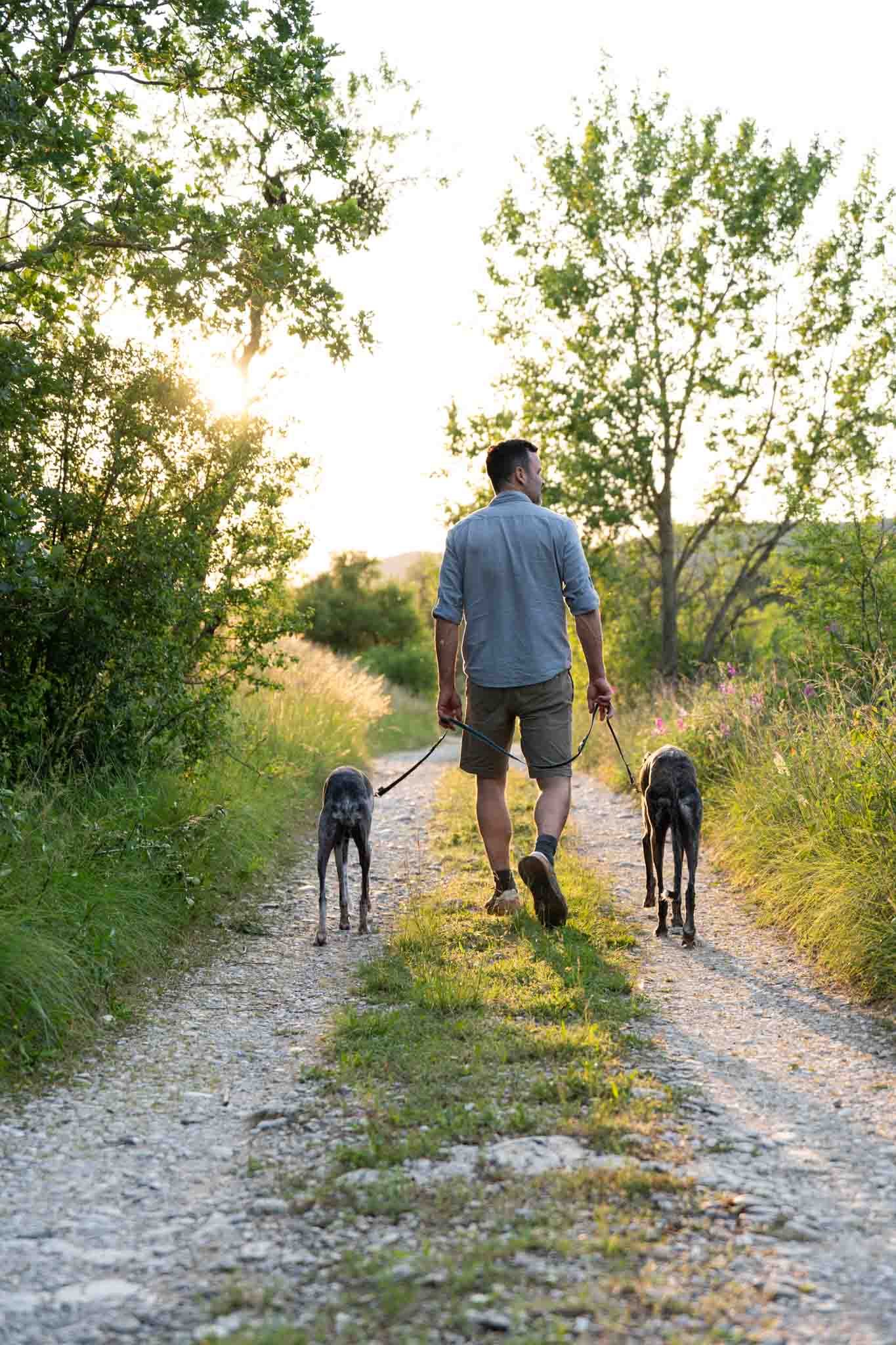 séance-photo-chiens-drôme.04.jpg