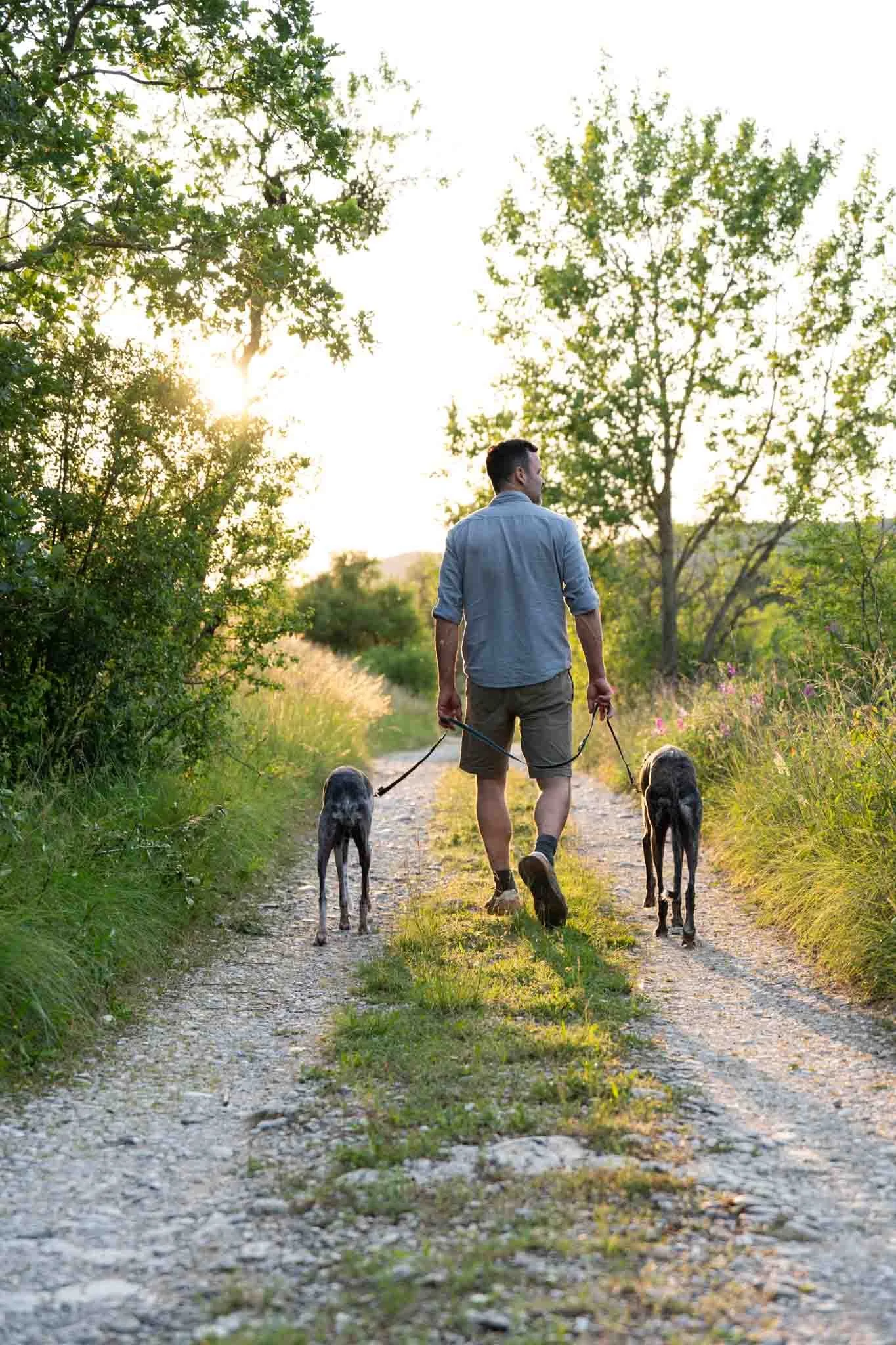 Séance photo avec ses chiens en Drôme, Pupille Photographie