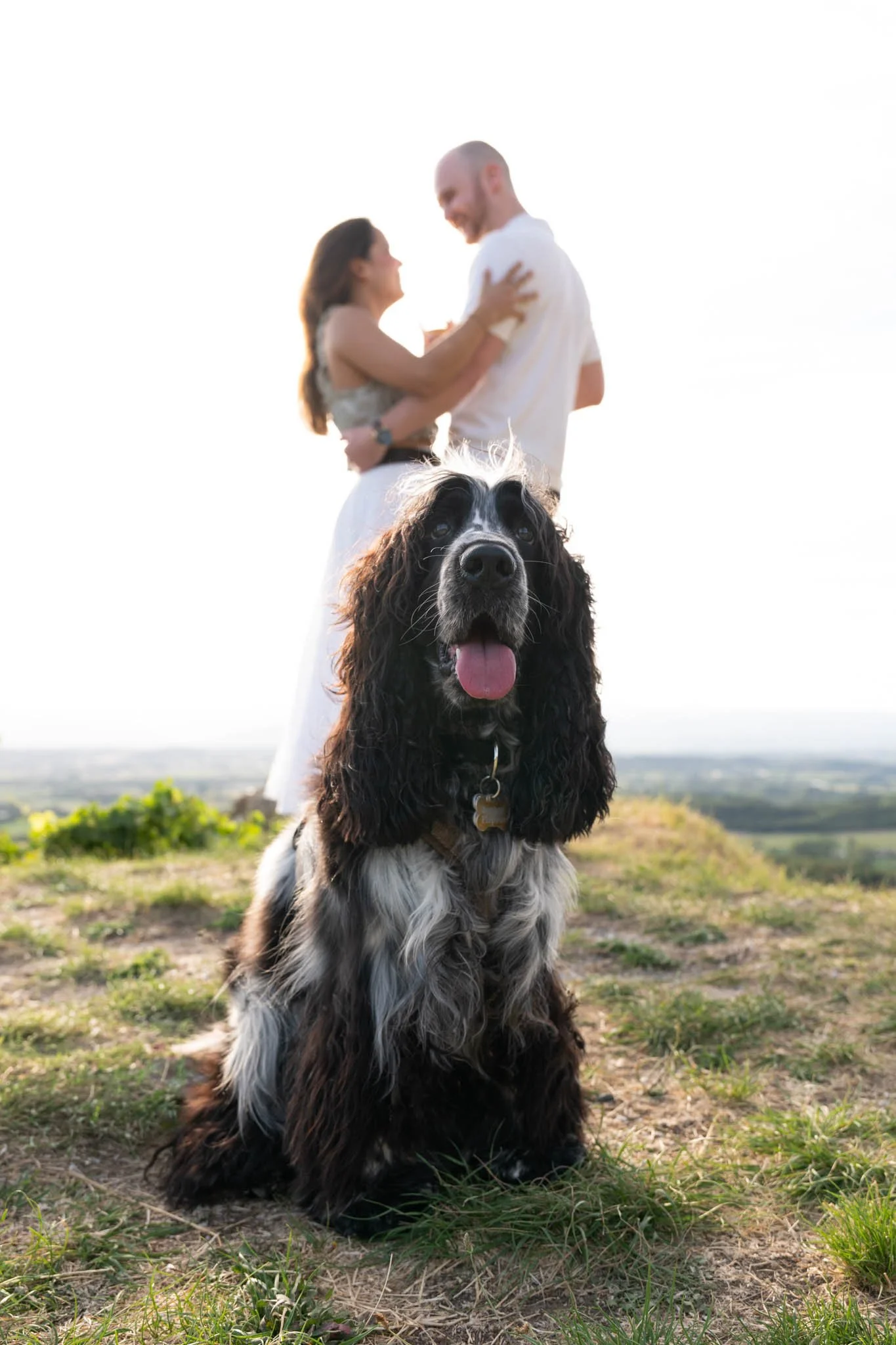 seance-photo-couple-animaux-photographe-drome.jpg