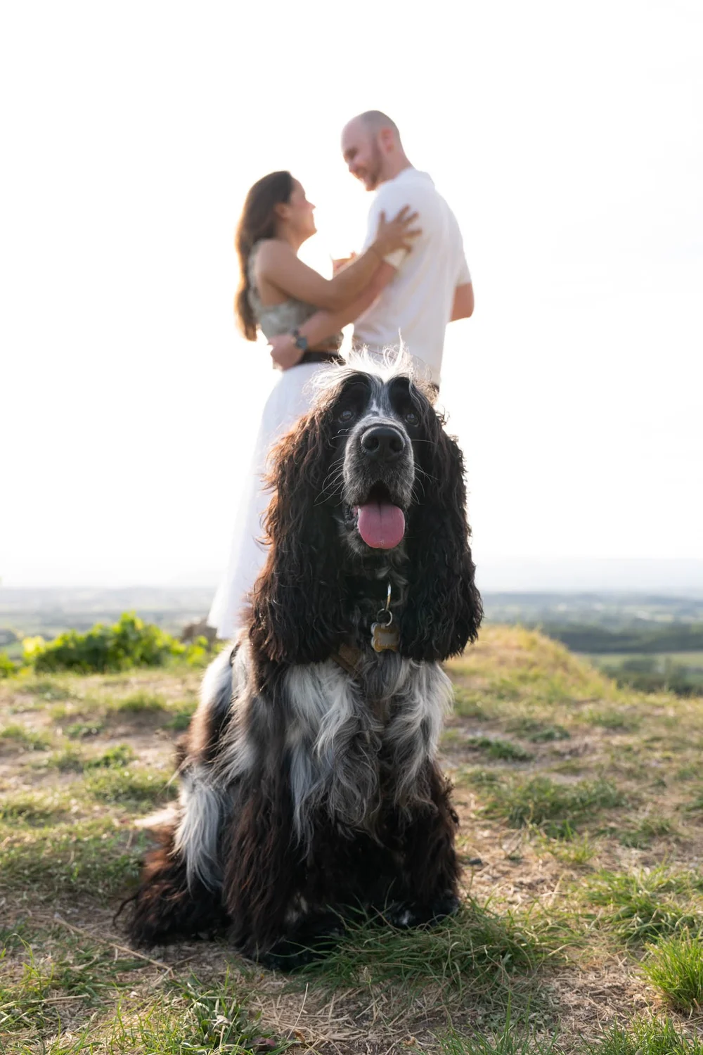 Couple et son chien, séance photo naturelle en Drôme