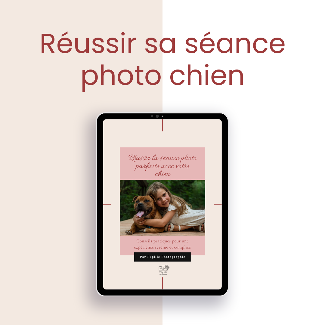 guide-photo-chien-pupille-photographie.png