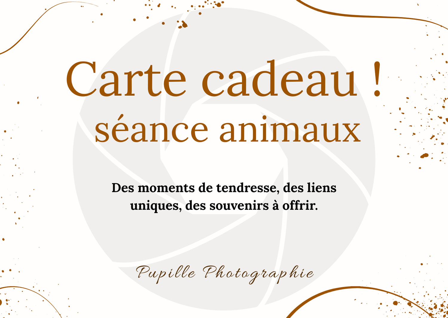 Carte cadeau séance photo animaux Valence Drôme