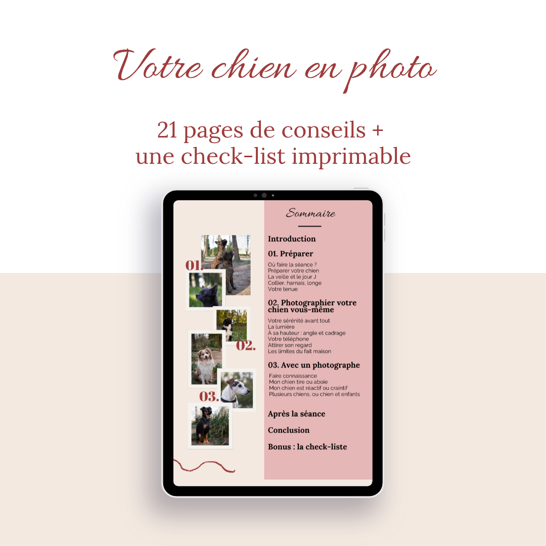 ebook-photographier-son-chien-sommaire.png.png