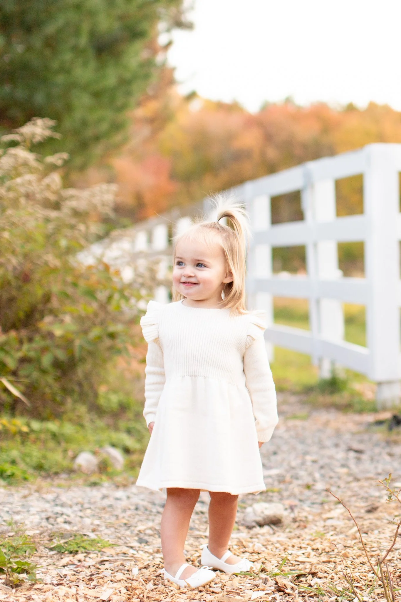 Toddler enjoying a relaxed family photo session at Adams Farm in Walpole MA