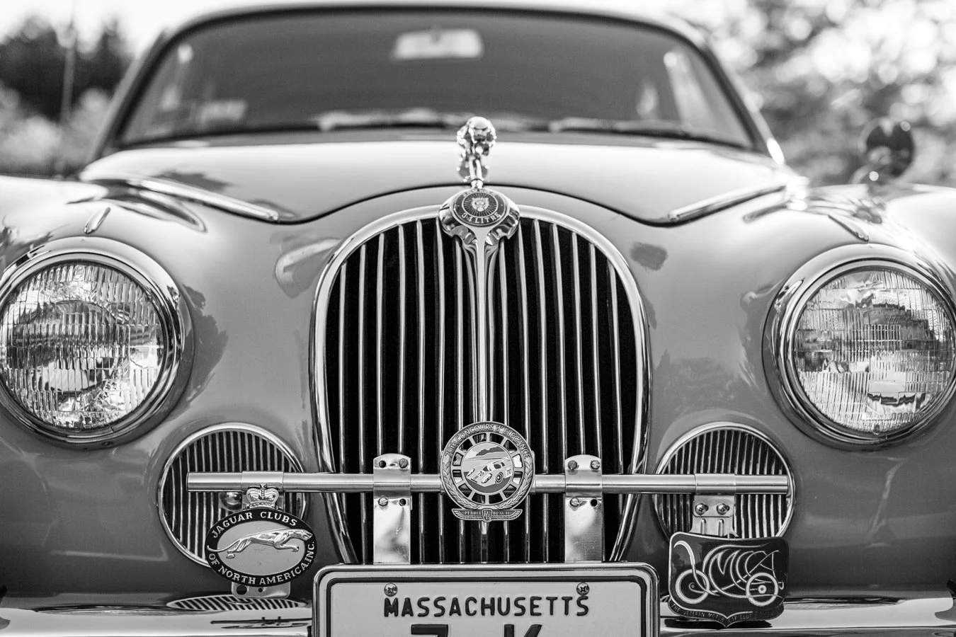 Luxury vintage Jaguar at Larz Anderson Park, inspiration for elevated, timeless family photography in Brookline.