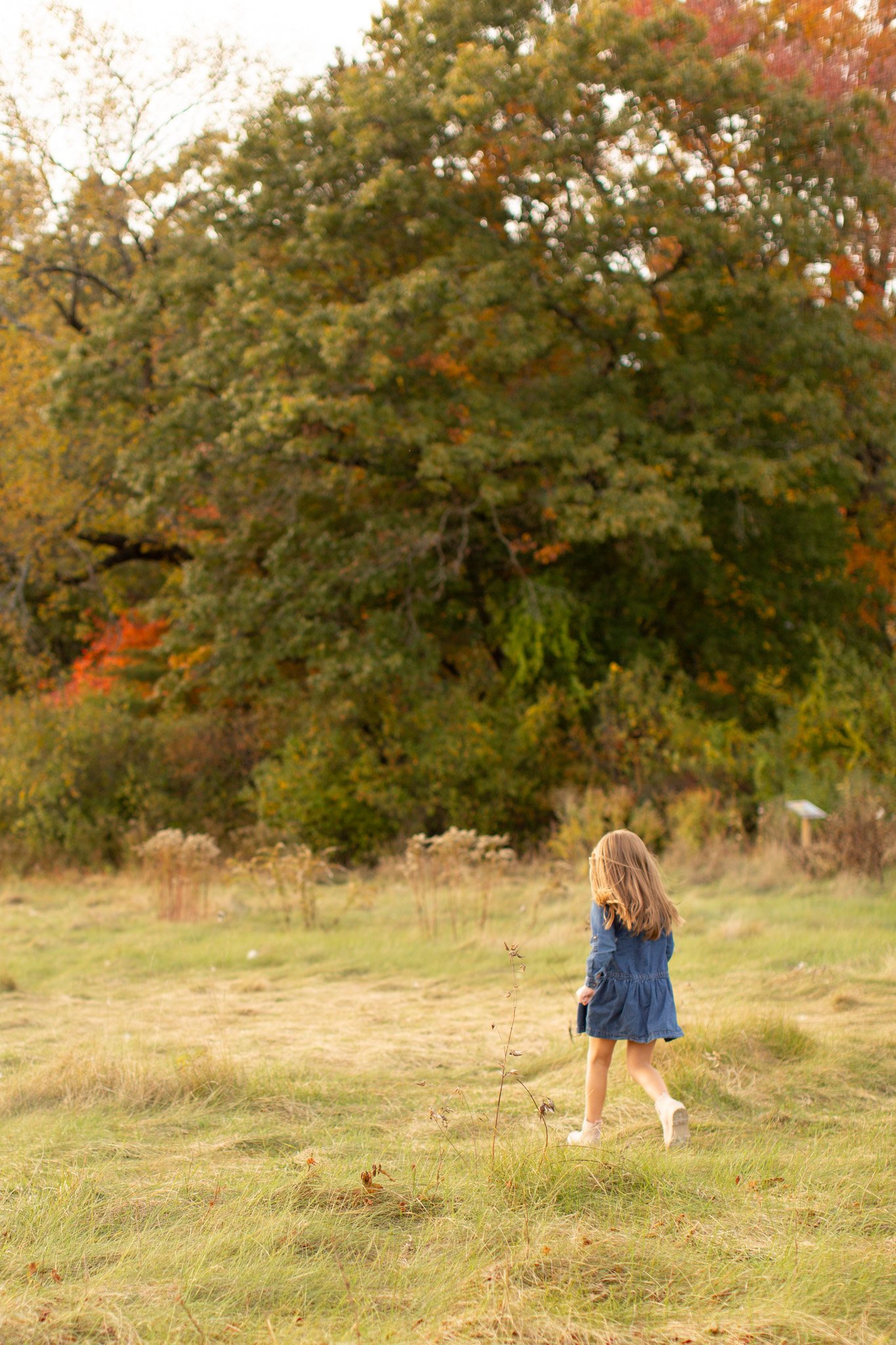 Lifestyle family photography capturing young children being themselves