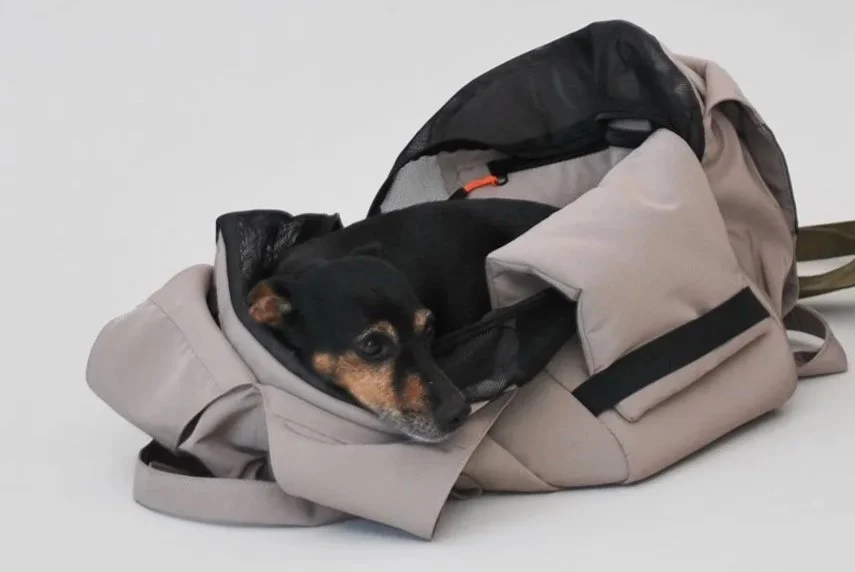 Pet carrier bag