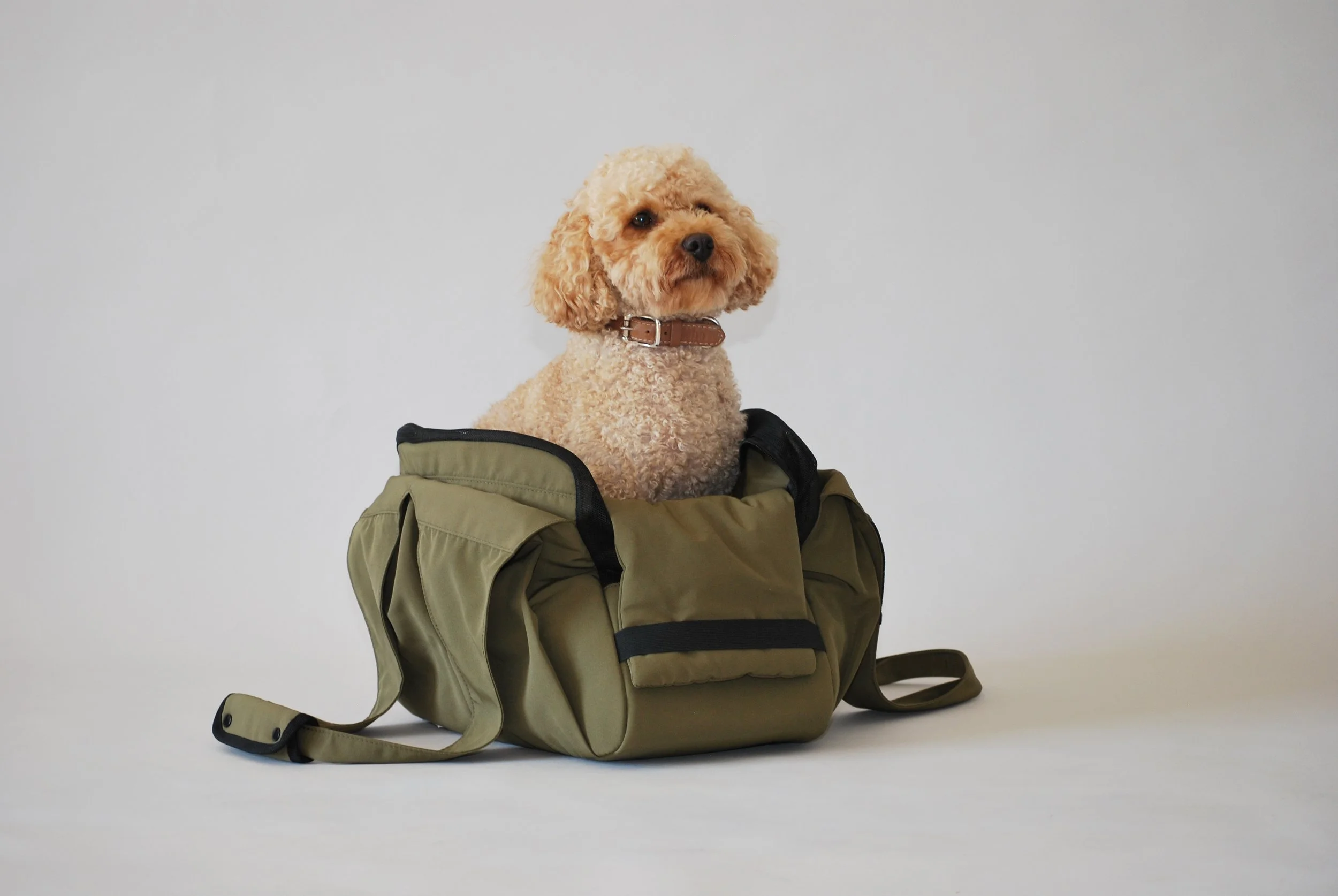 Pet carrier bag
