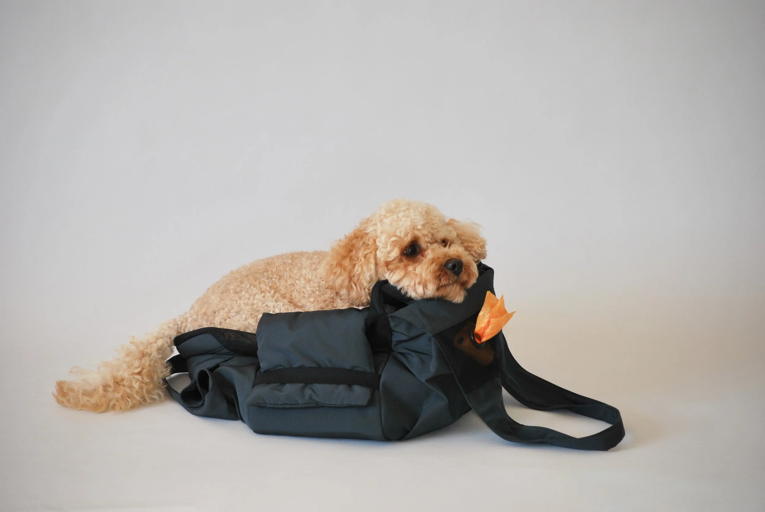 Pet carrier bag