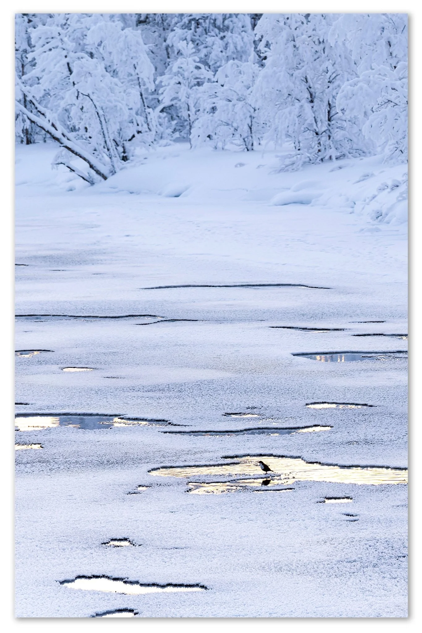 DSCF6800-RAF_DXO2-Bearbeitet.jpg
